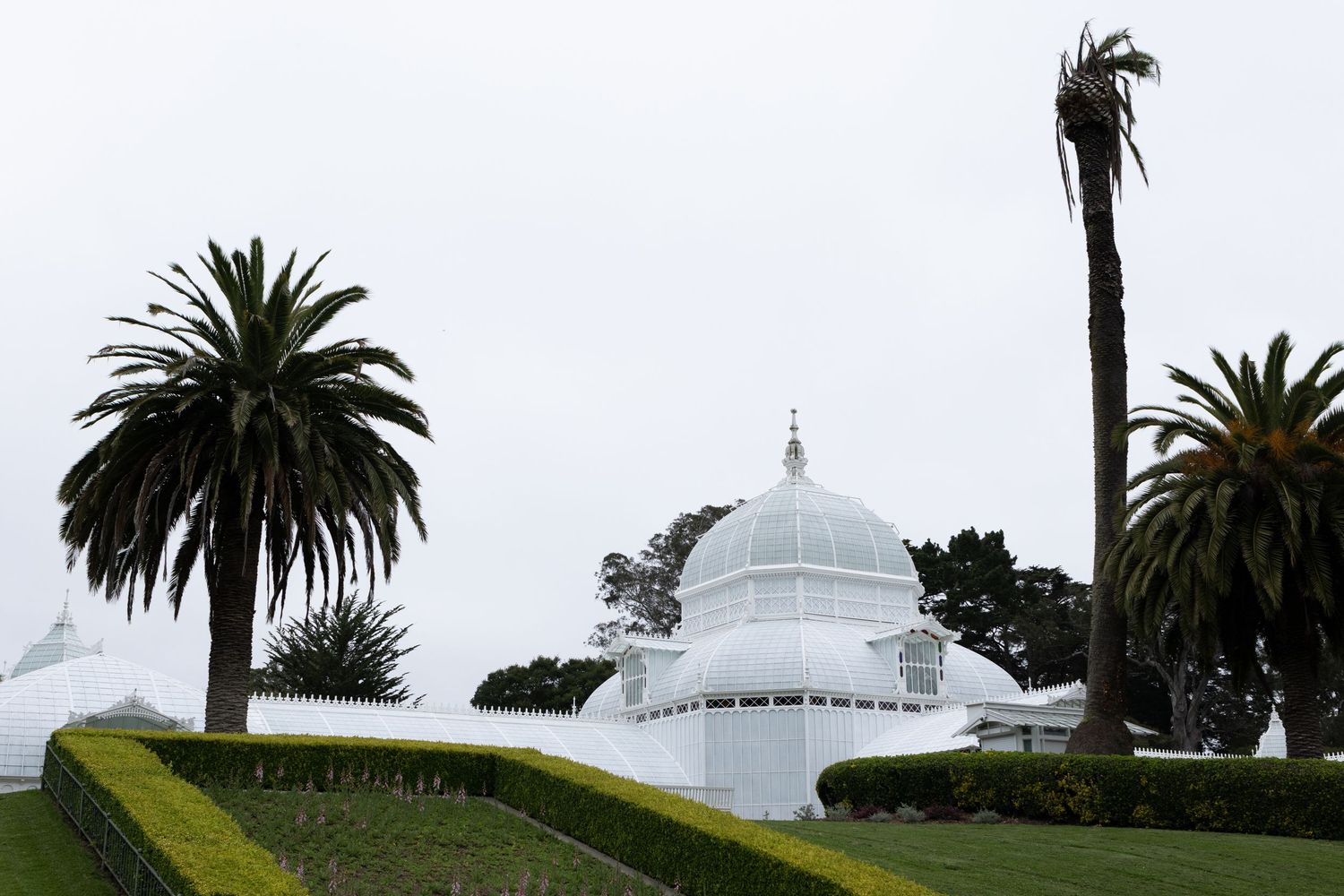 White domed conservatory building surrounded by lush palm trees and manicured hedges in Golden Gate Park, San Francisco.