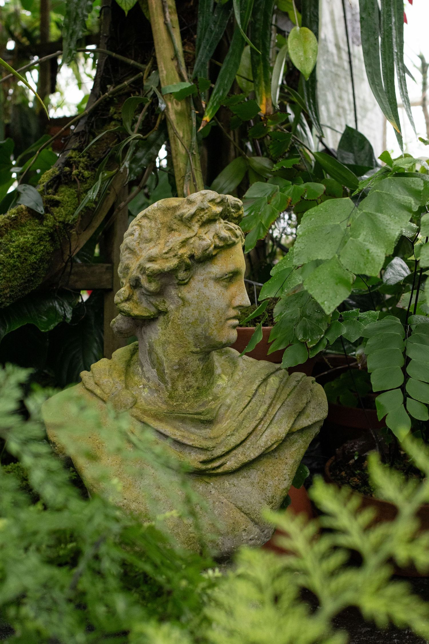 Ancient Roman inspired bust sculpture surrounded by lush green tropical plants and ferns in a garden setting.