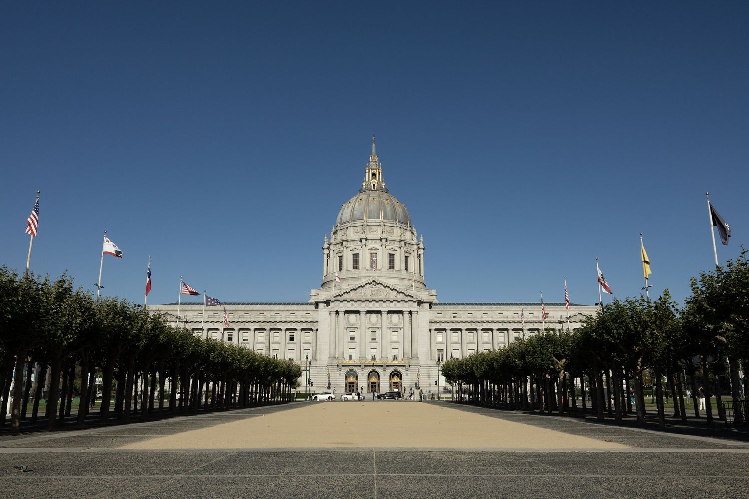 San Francisco City Hall with grand dome, flanked by trees and flags under a clear blue sky.