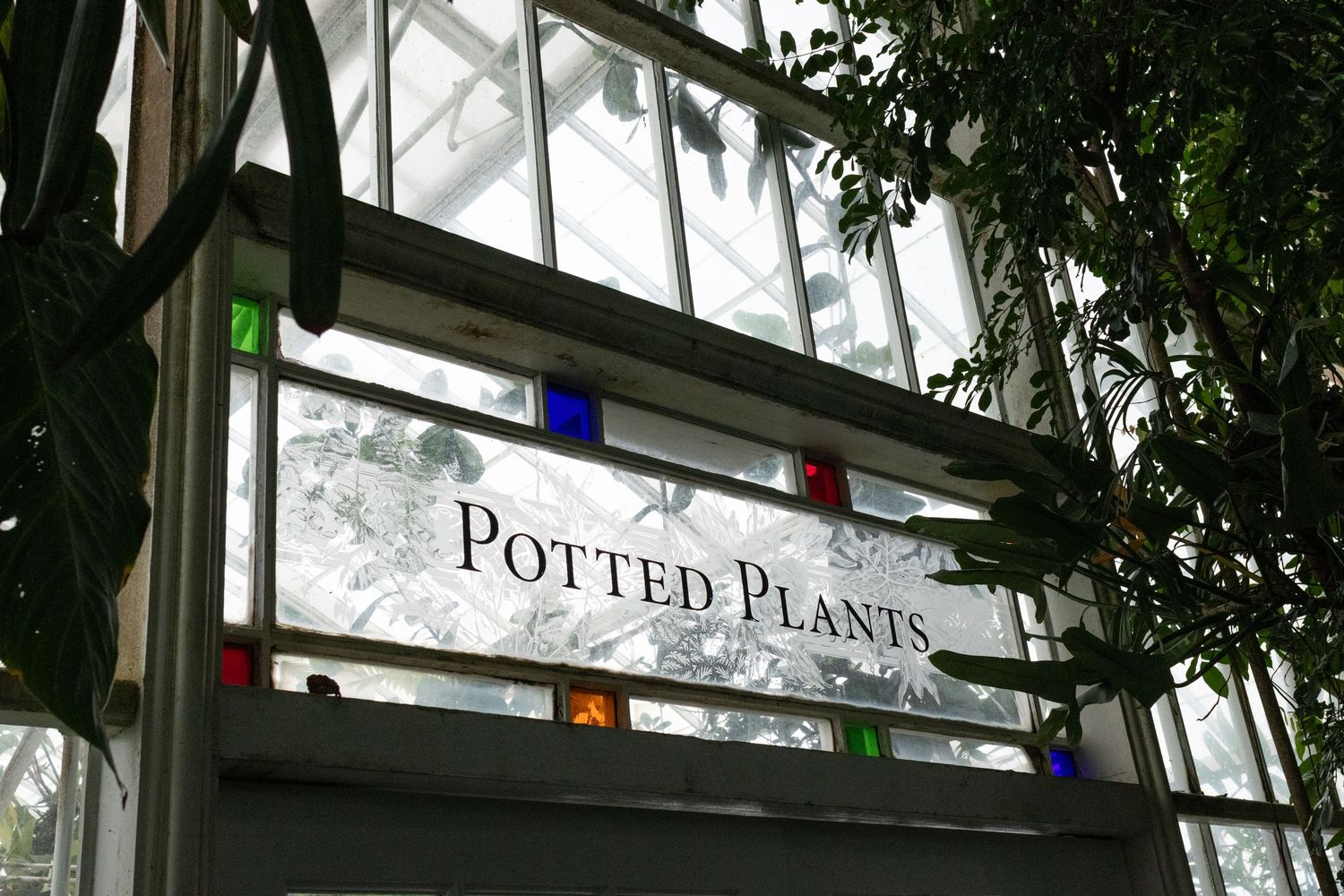 Stained glass sign reading Potted Plants inside a greenhouse with lush tropical foliage in the background.