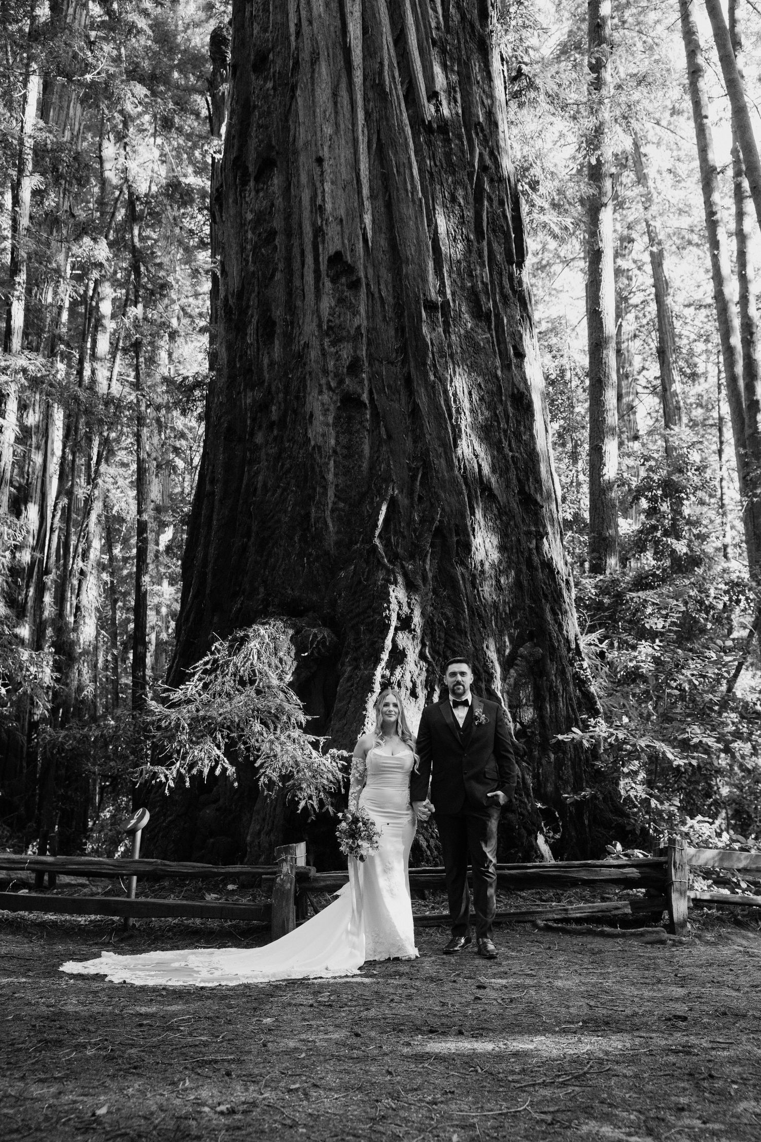 Couple stands before a massive redwood tree in a forest in black and white by Taylor Zimmerman Photo