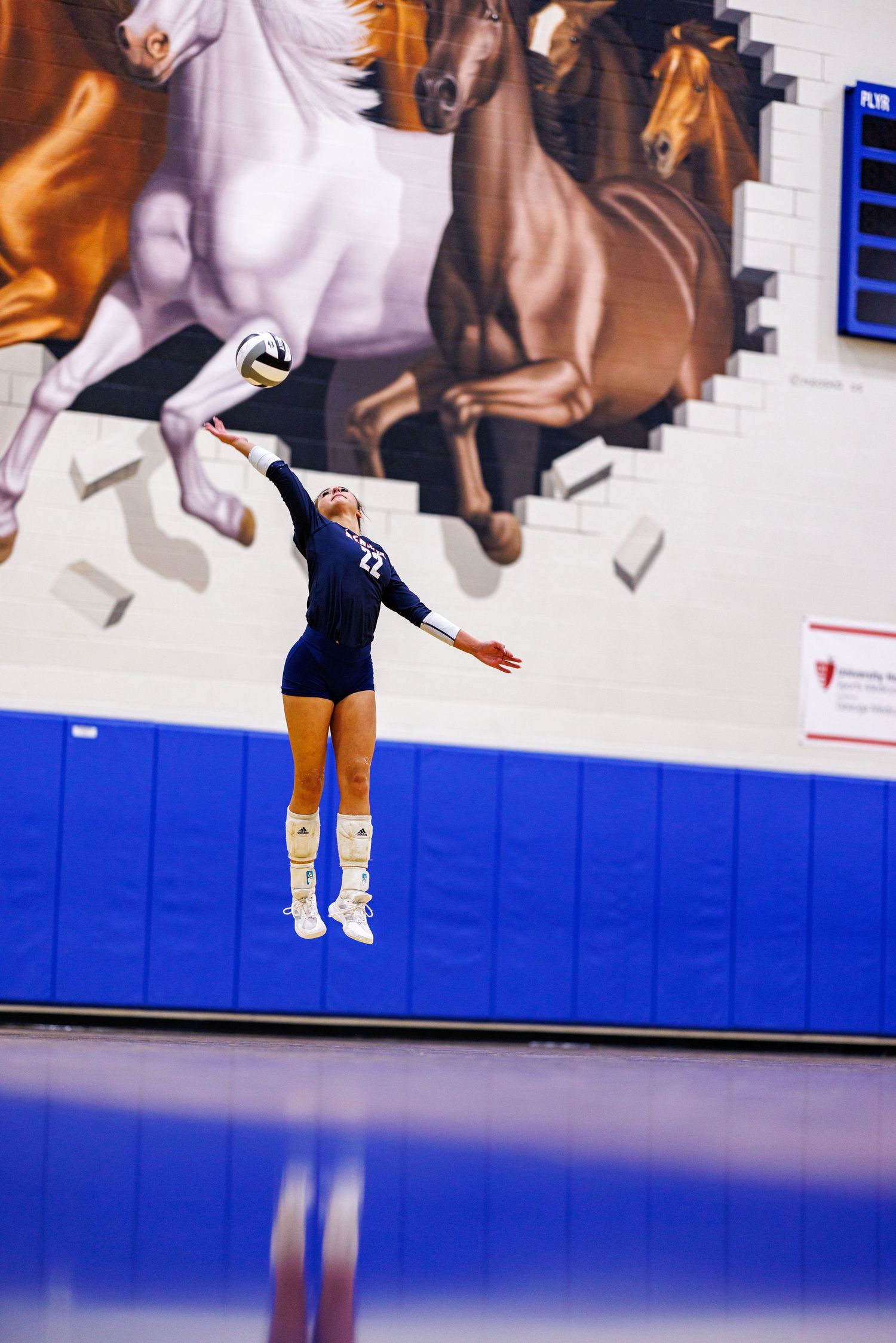 Volleyball player jumps to serve the ball in front of a colorful horse mural on a gymnasium wall.