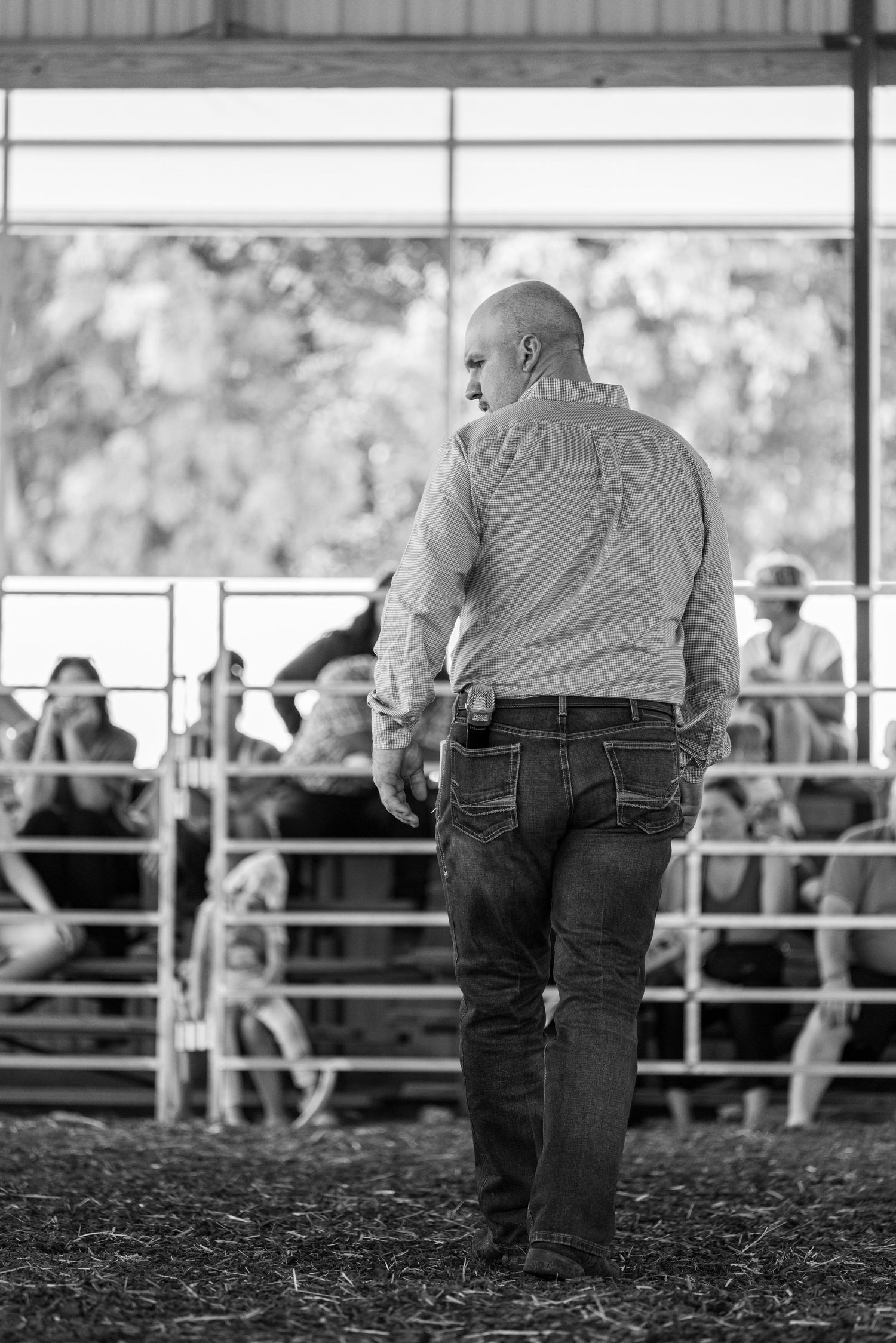 Black and white photo of a bald man in a plaid shirt standing in a livestock show arena.