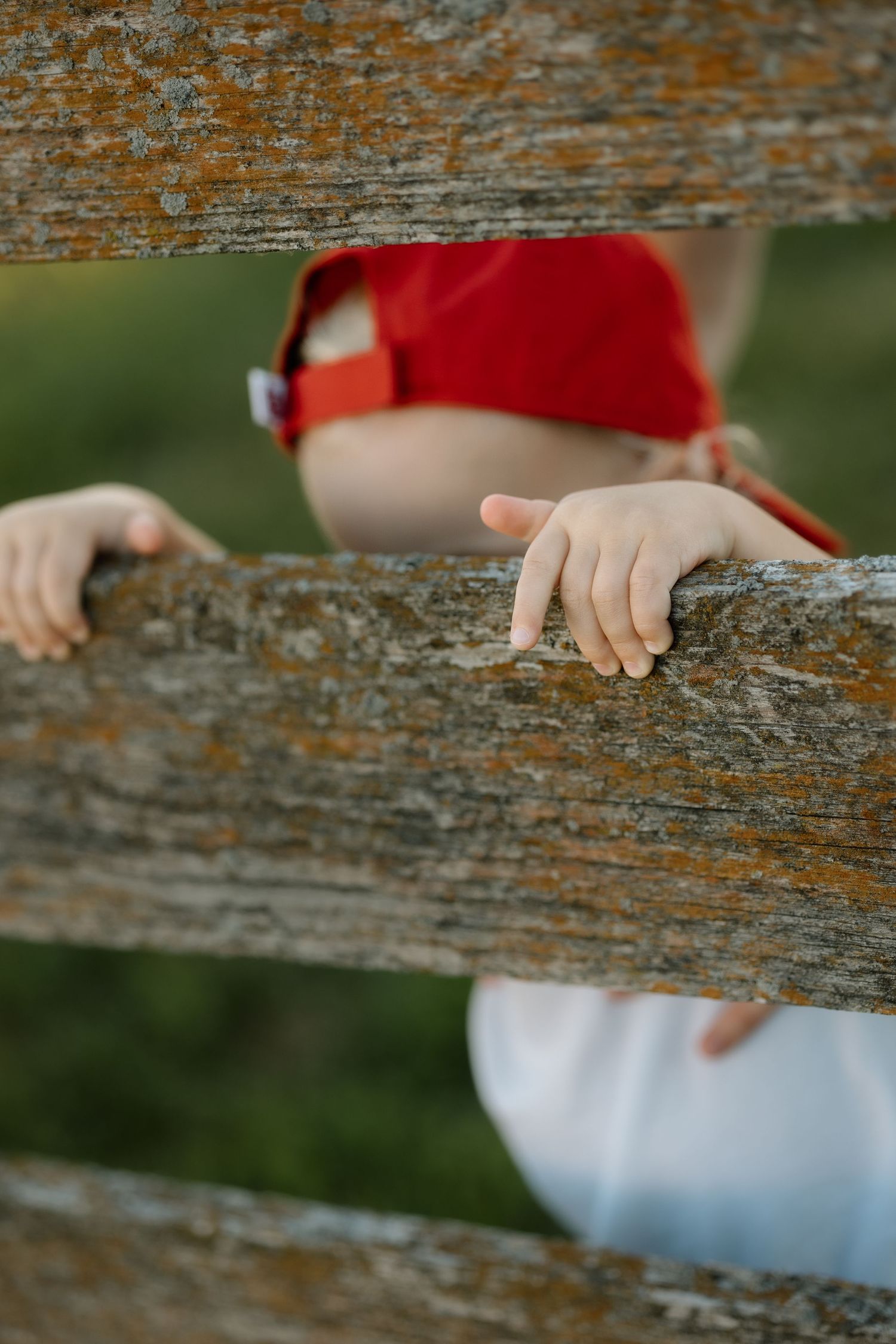 Close-up of a toddlers hands gripping a weathered wooden fence rail outdoors.