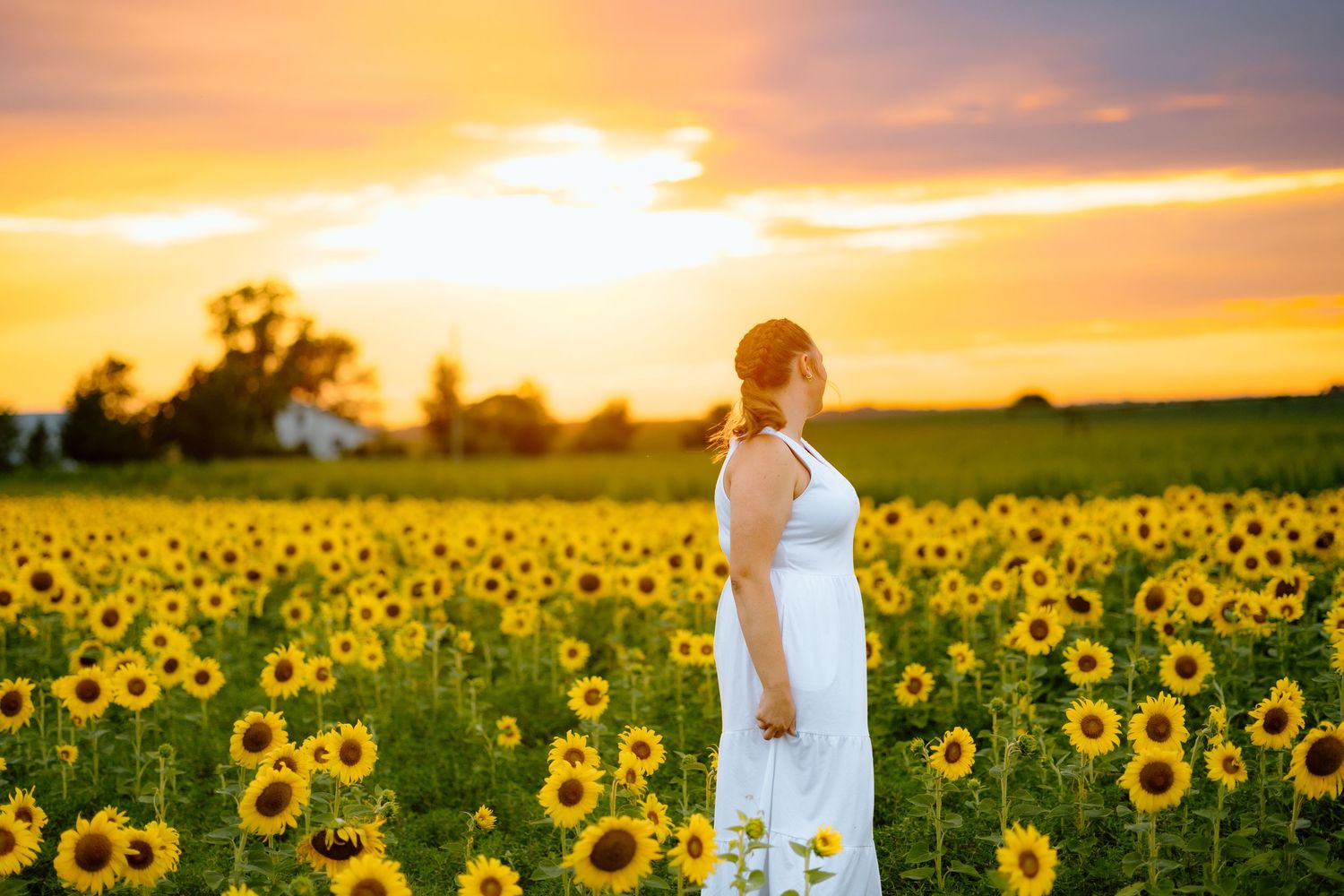 Woman in white dress standing sideways in a sunflower field bathed in warm sunset light.