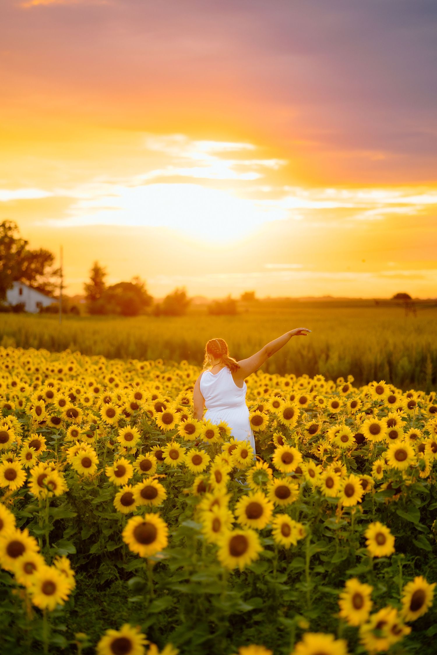 Carefree woman in white dress with arms outstretched in a sunflower field at vivid sunset.