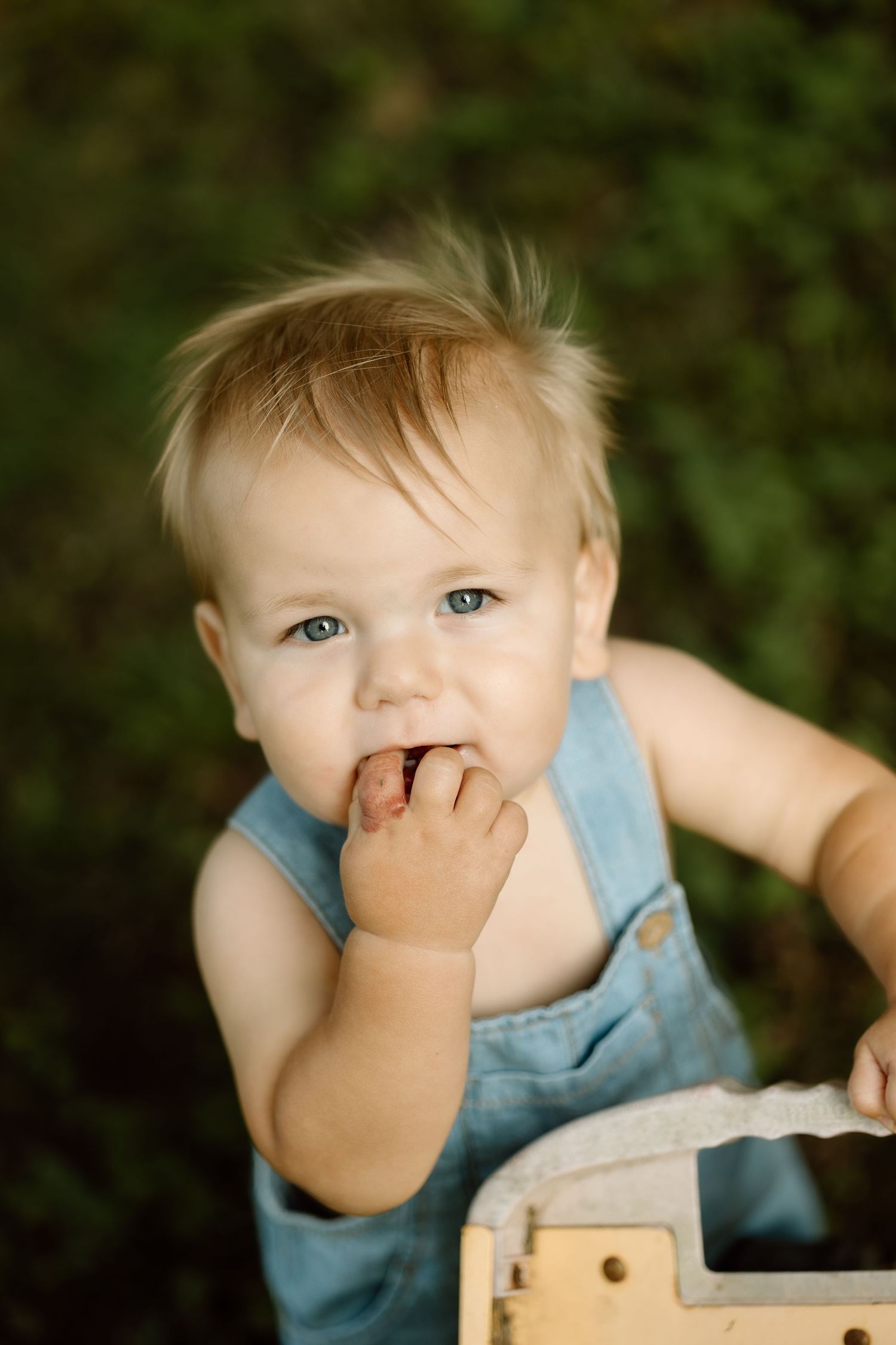Curious baby in denim overalls chewing fingers outdoors in green grass.