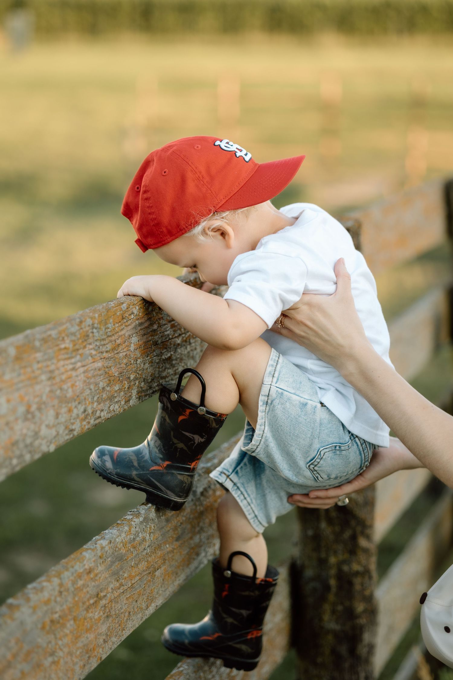 Toddler in red cap and rubber boots being lifted over a rustic wooden farm fence.