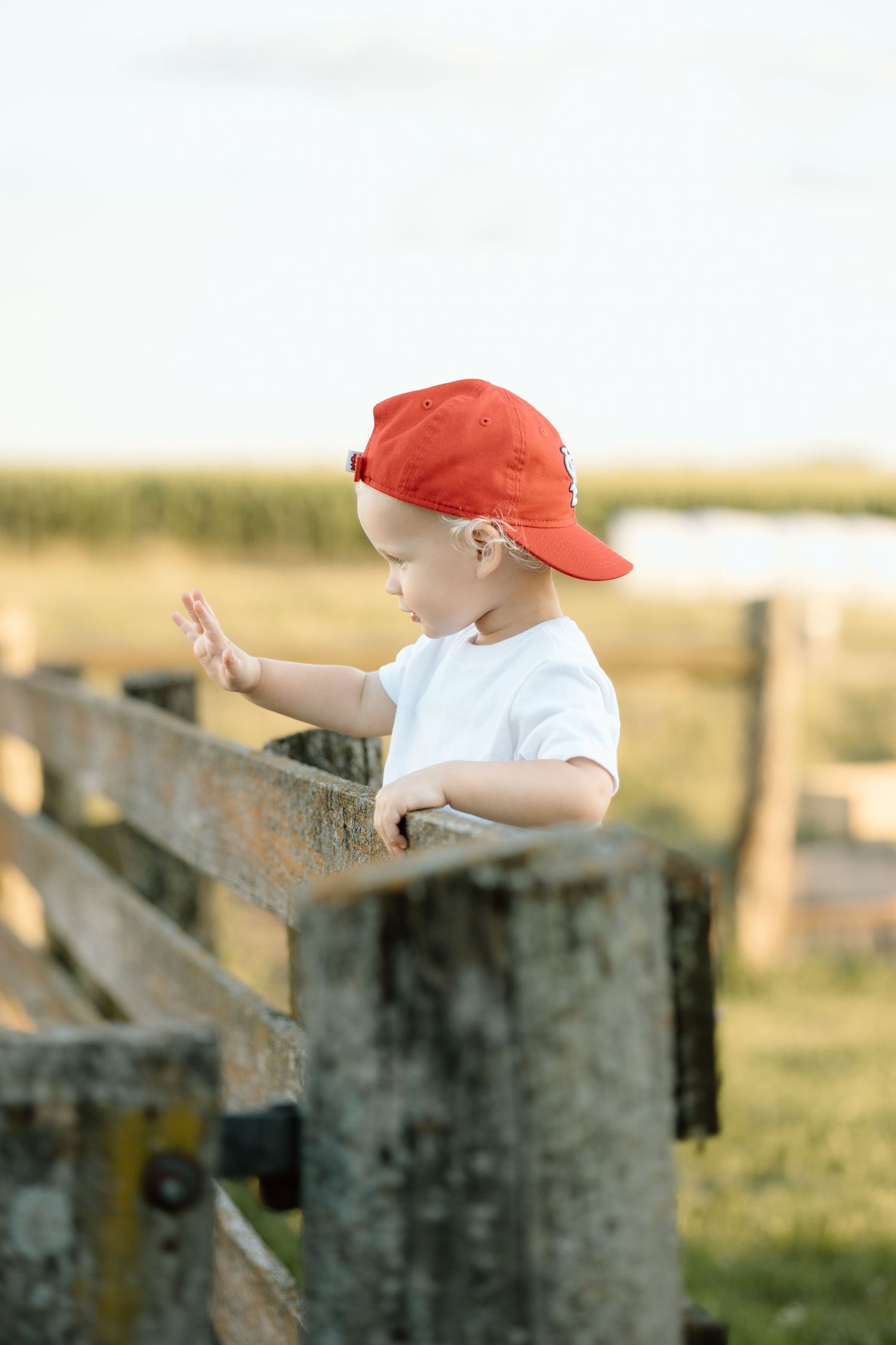 Toddler boy in red cap and white shirt standing at a rustic wooden fence on a farm.