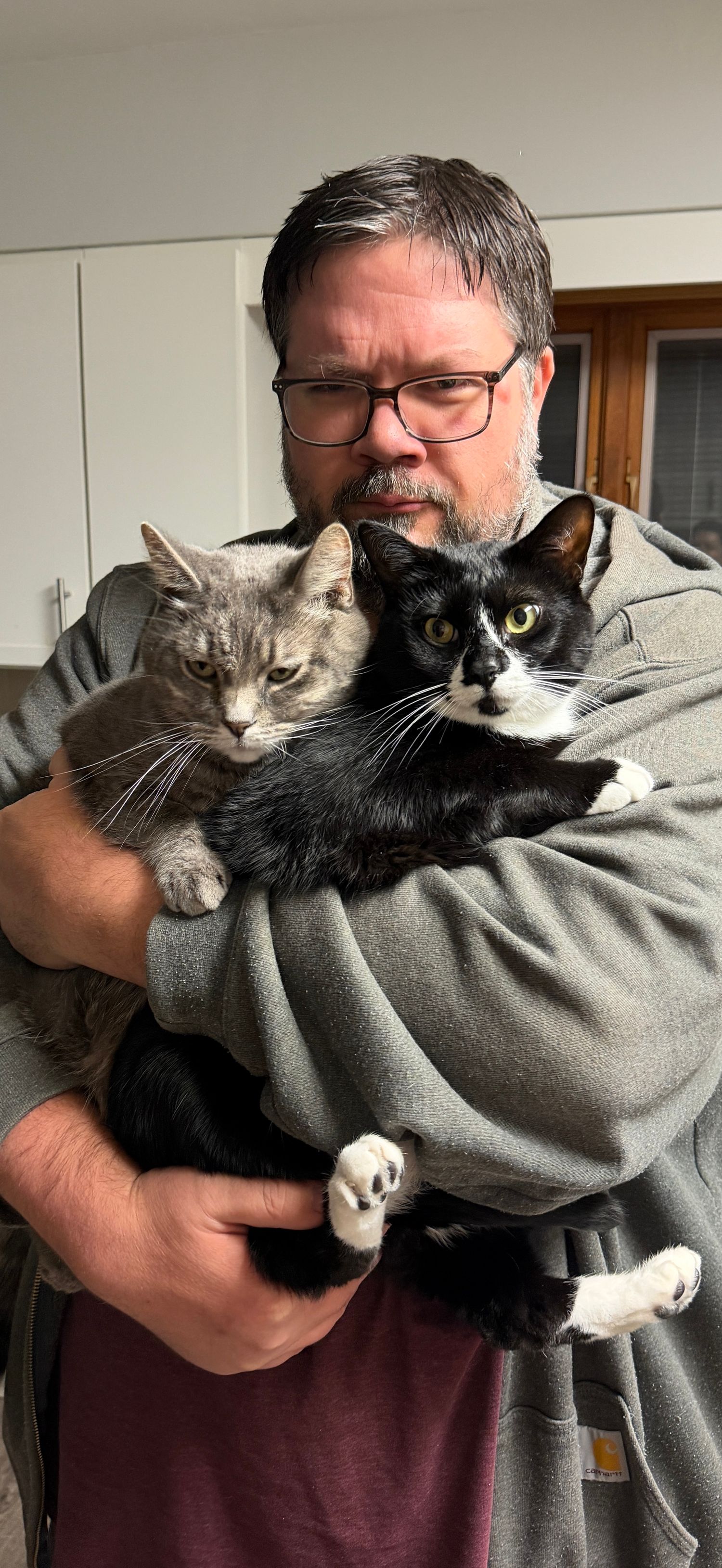 Man with glasses holding two cats, a gray tabby and a tuxedo cat, in kitchen.