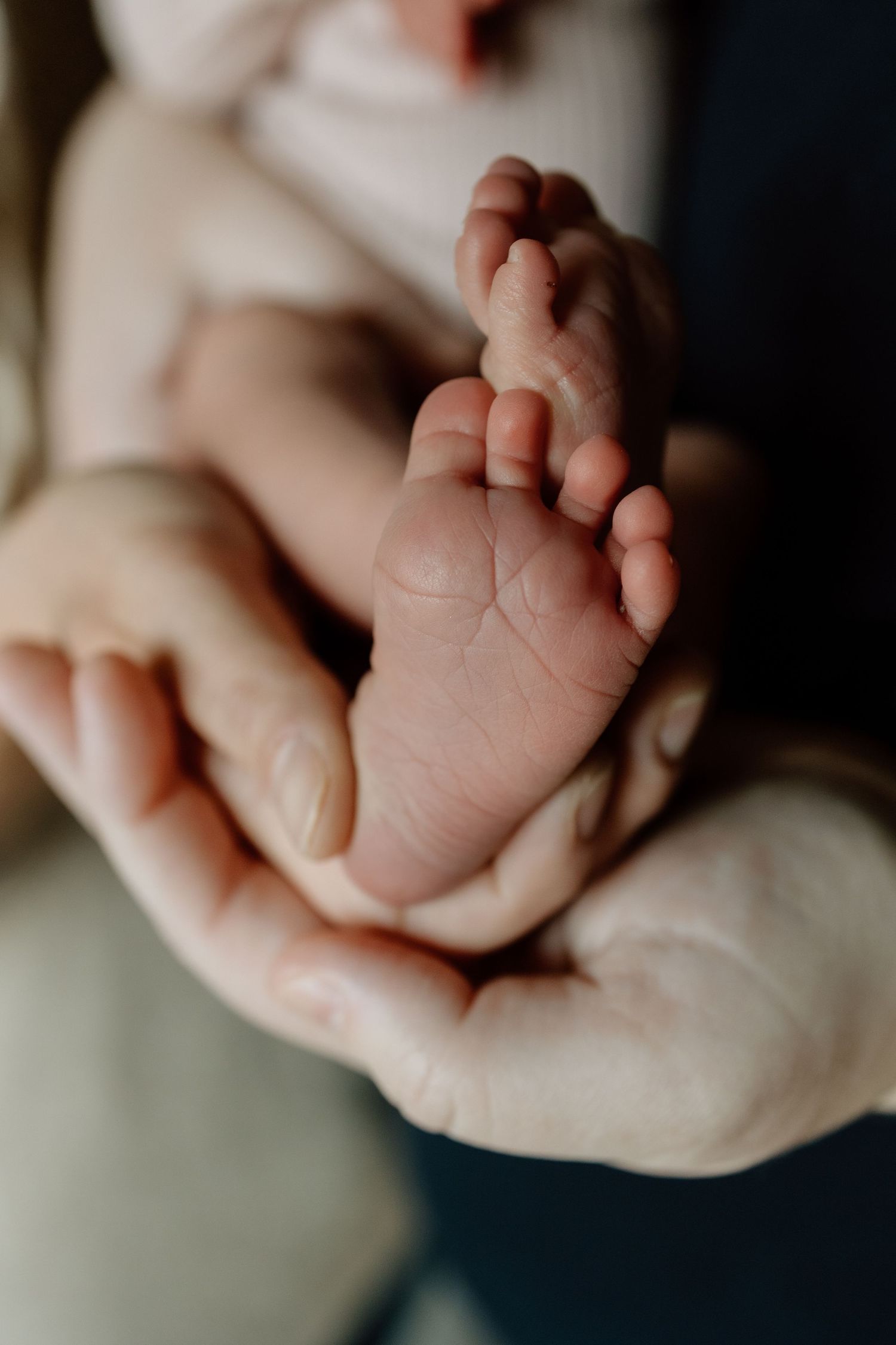 Close-up of adult hands cradling tiny newborn baby foot, showing delicate details.
