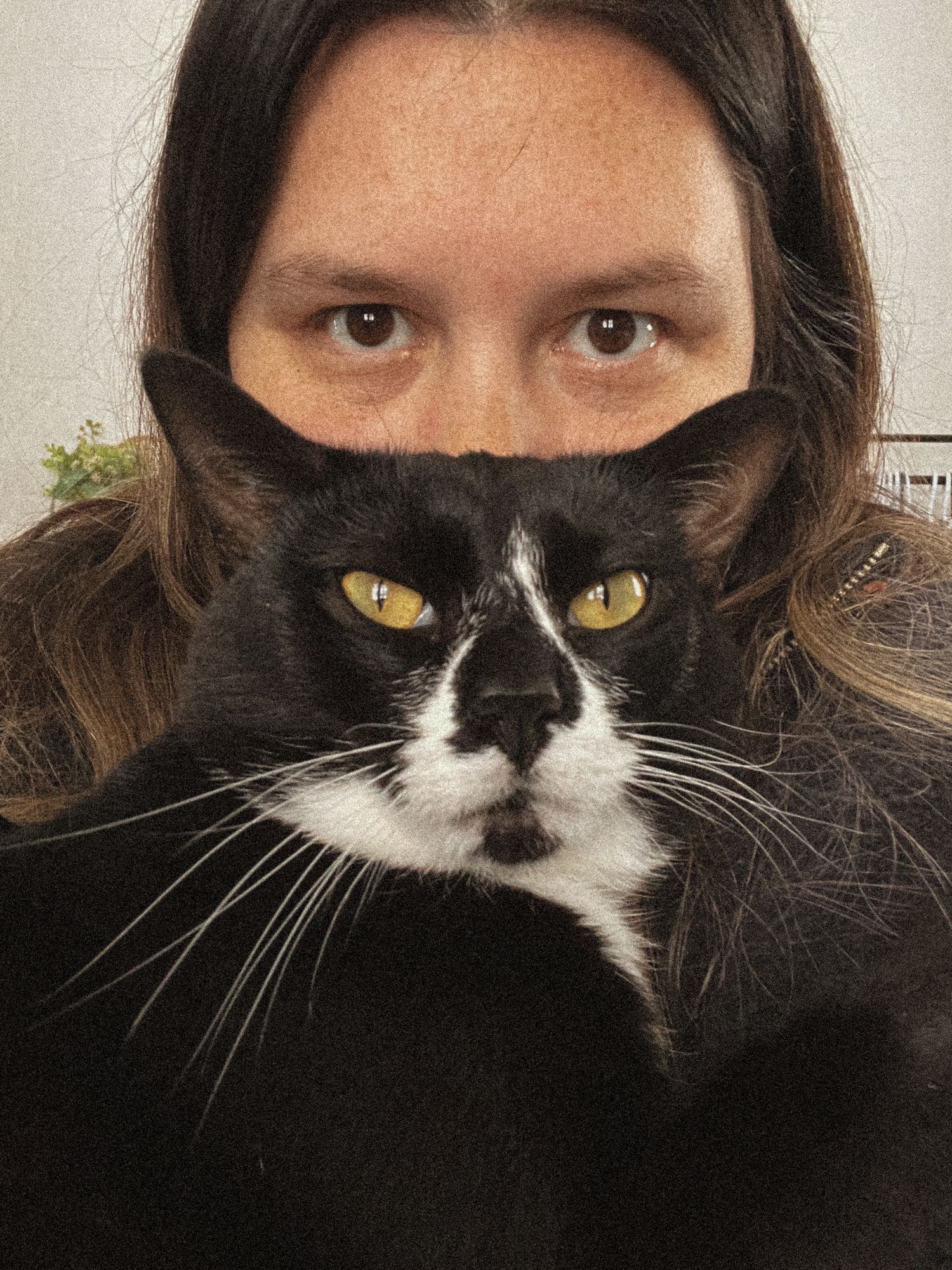 Woman holding a tuxedo cat with yellow-green eyes up to her face indoors.