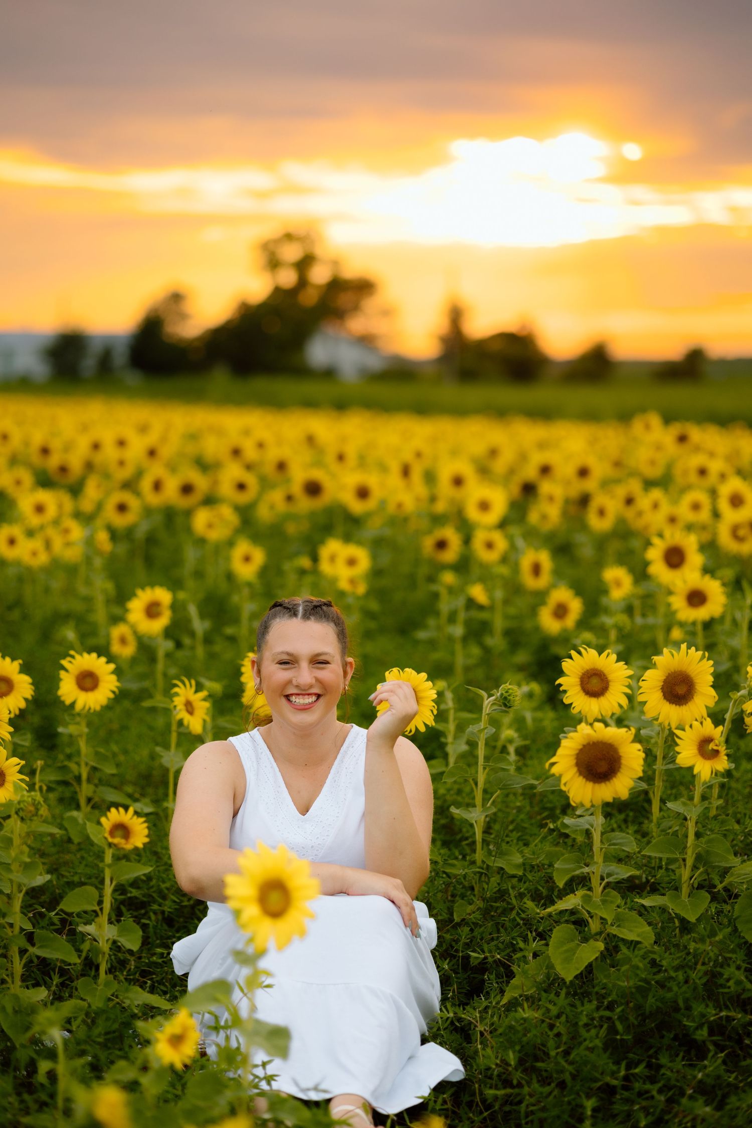 Joyful woman in white dress laughing while sitting in a sunflower field at golden sunset.