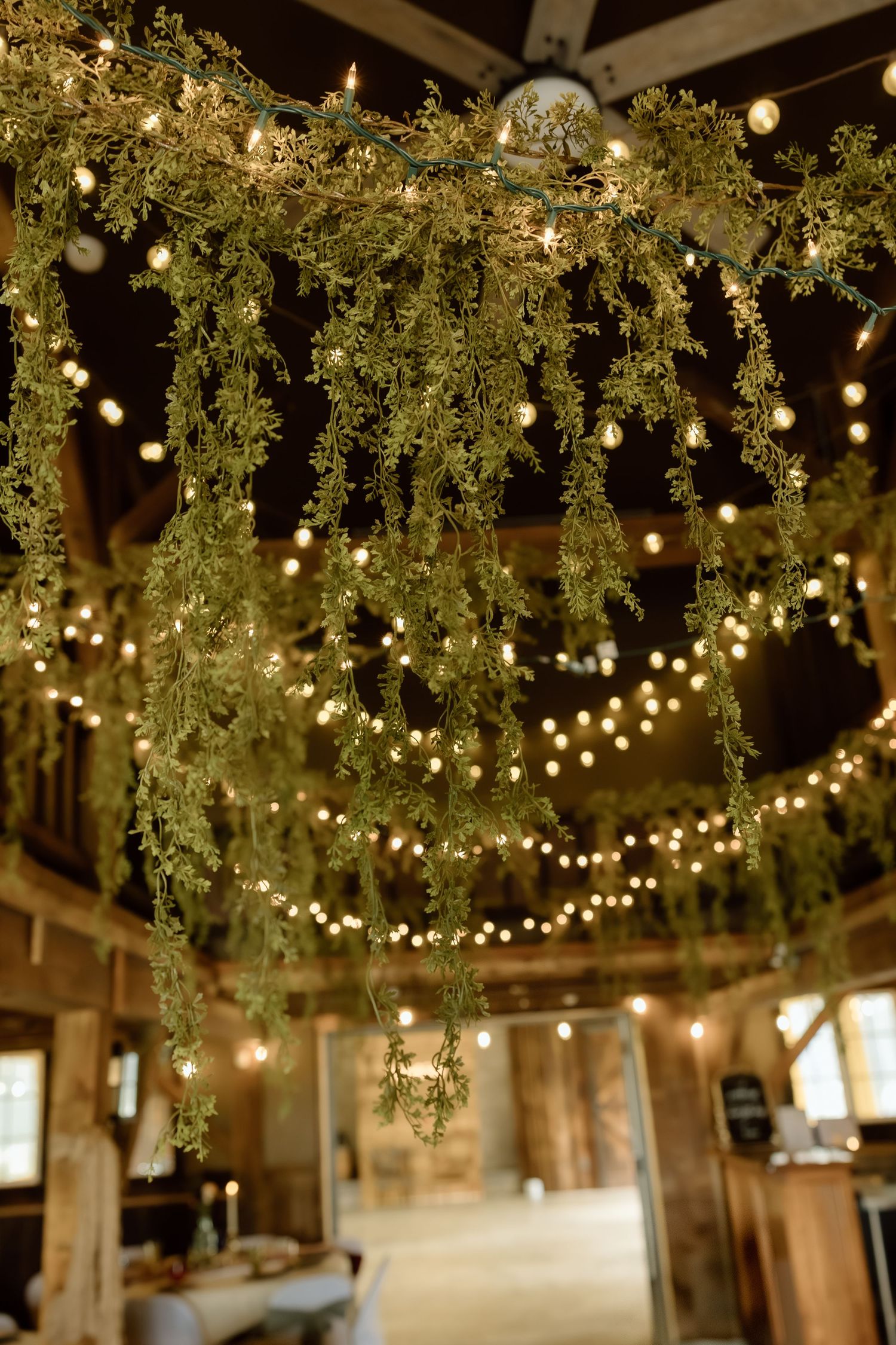 Rustic barn wedding reception ceiling decorated with hanging greenery and warm string lights creating romantic ambiance.