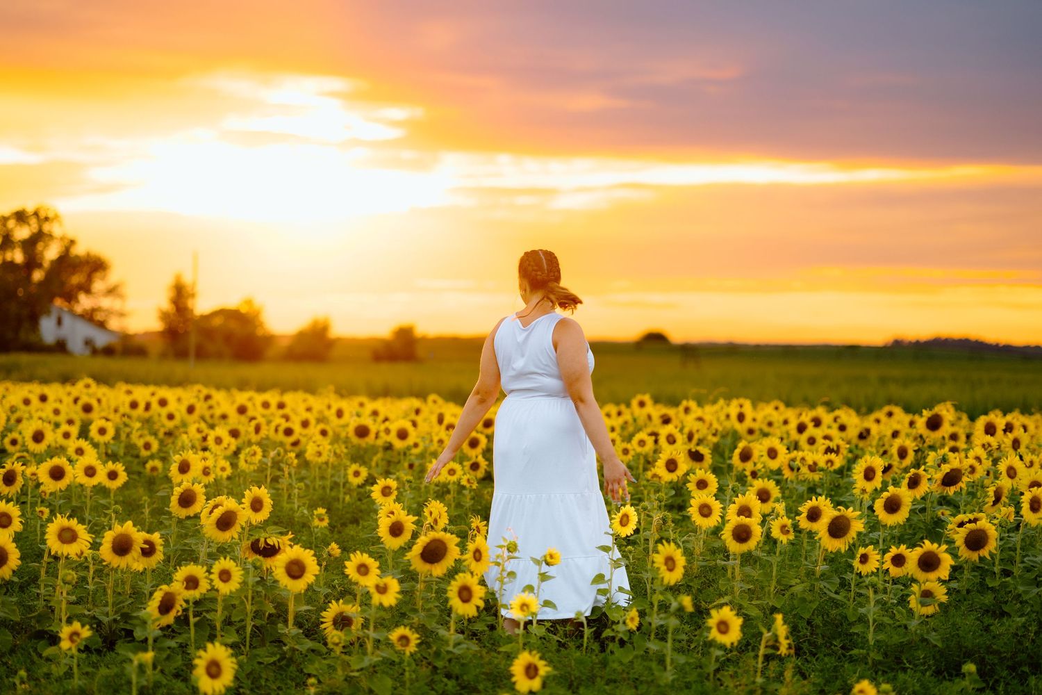 Woman in white dress walking through a vast sunflower field during a stunning golden sunset.