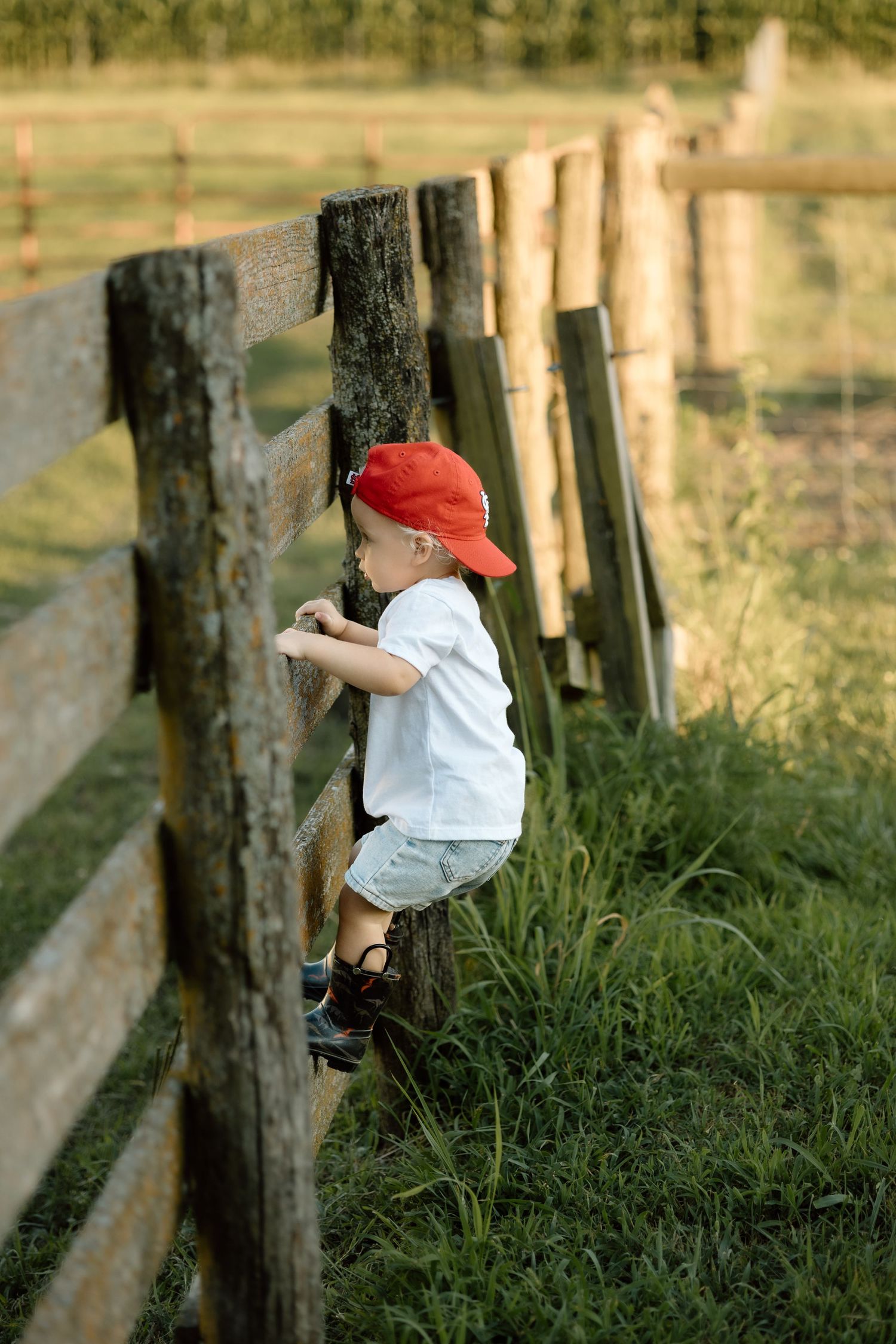 Young boy in red baseball cap leaning against a wooden farm fence in green grass.
