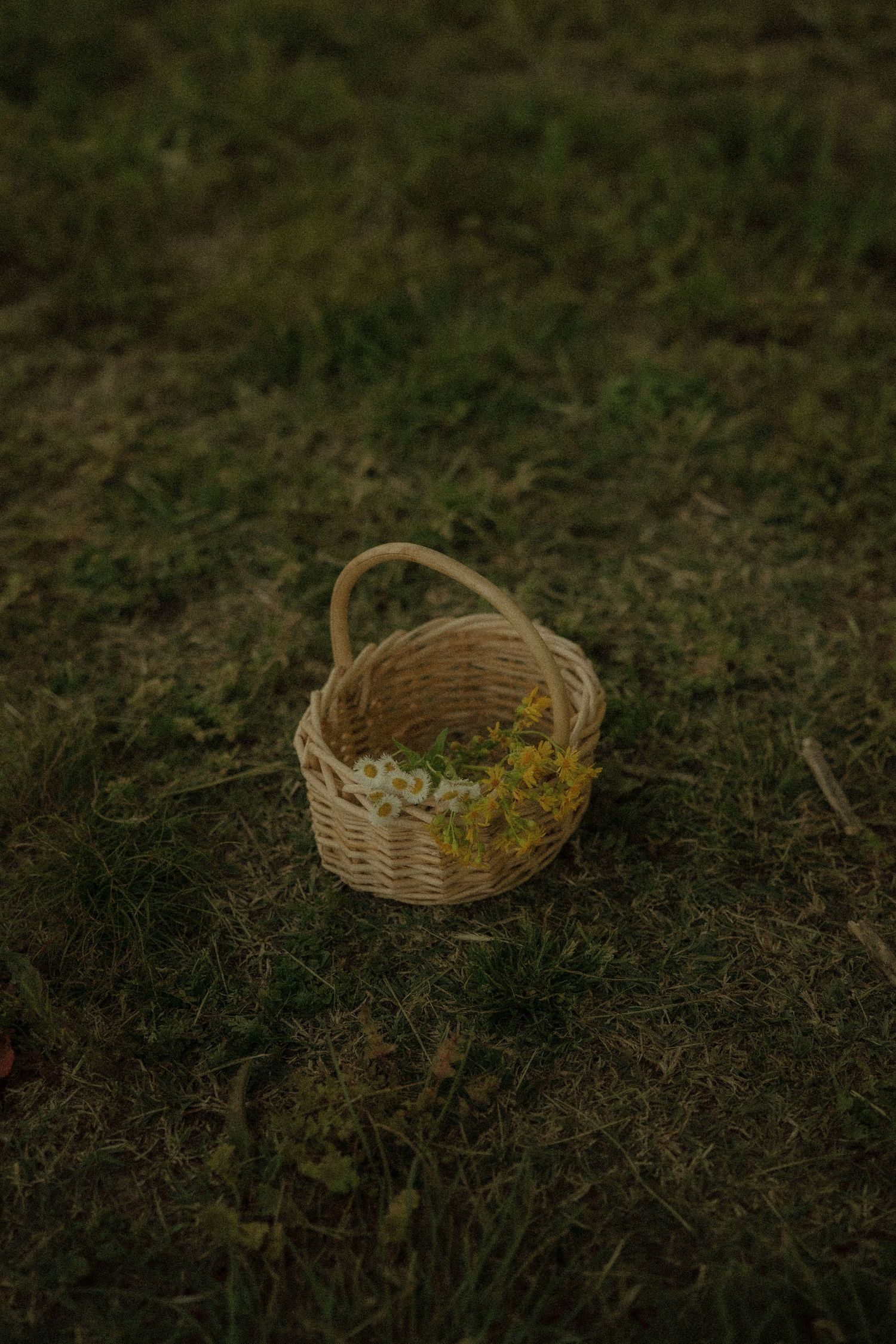 A small woven wicker basket filled with yellow wildflowers sitting on lush green grass outdoors.