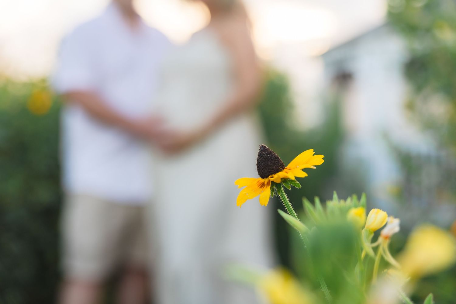 Maternity photo session in flower field during golden hour in Burlington County, New Jersey, by Rego Photography
