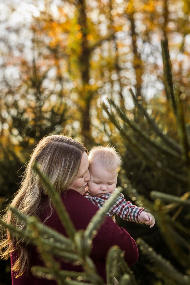 A tender autumn moment captured through evergreen branches with warm golden sunlight filtering through trees in background.