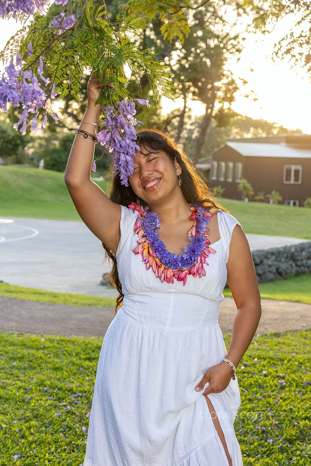 senior girl having her photo taken with blooming jacaranda blossoms holding her white graduation dress and wearing lei