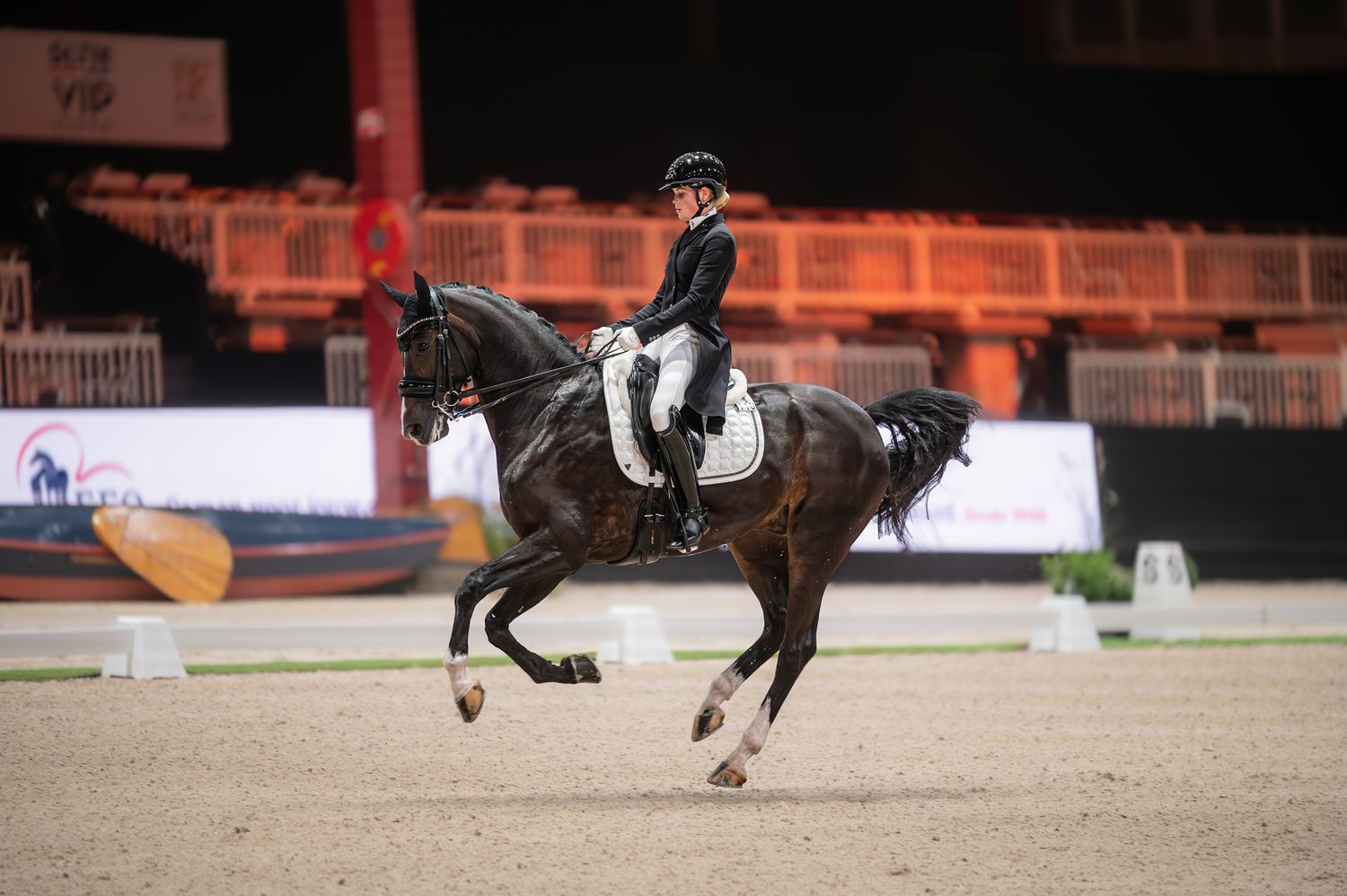 Equestrian rider in black attire performing dressage on a dark horse in an indoor arena competition.