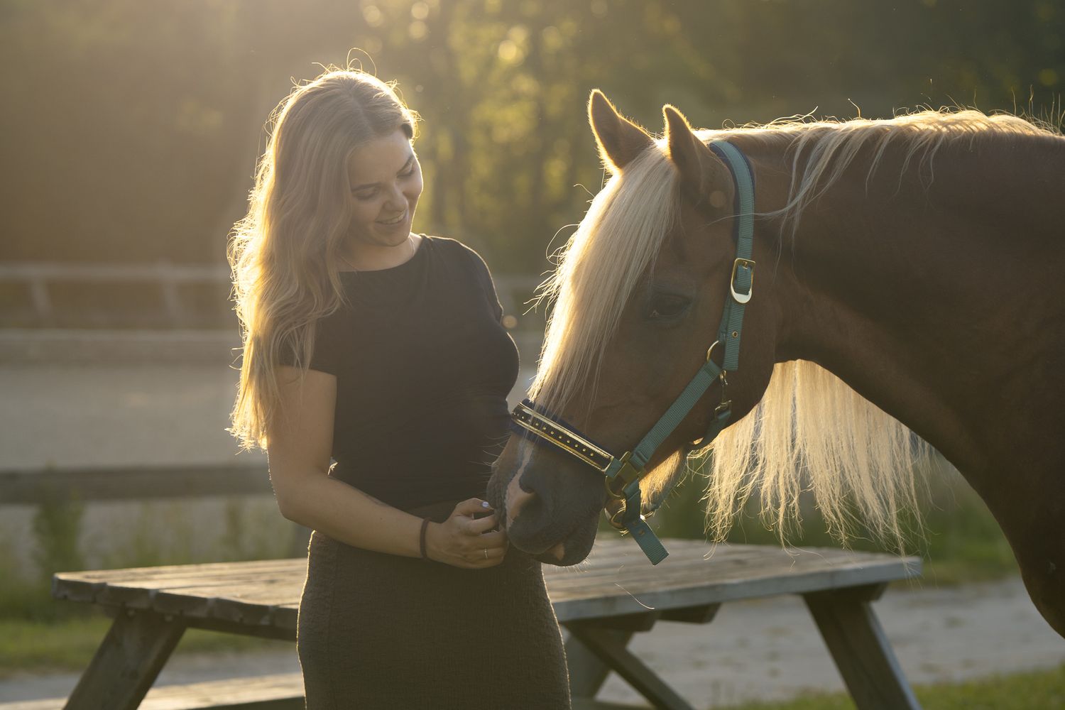 Young woman in black dress standing with a palomino horse in golden sunlight.