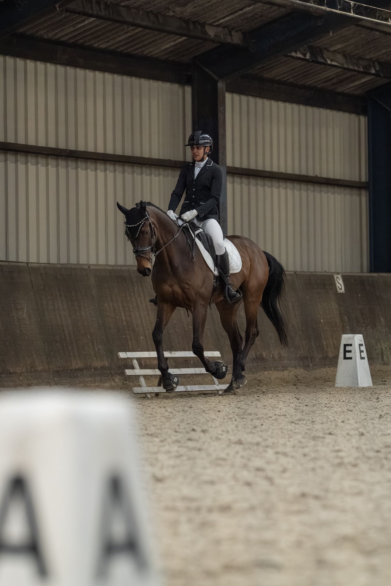 Equestrian rider in formal attire performing dressage on a bay horse in an indoor arena with letter markers.