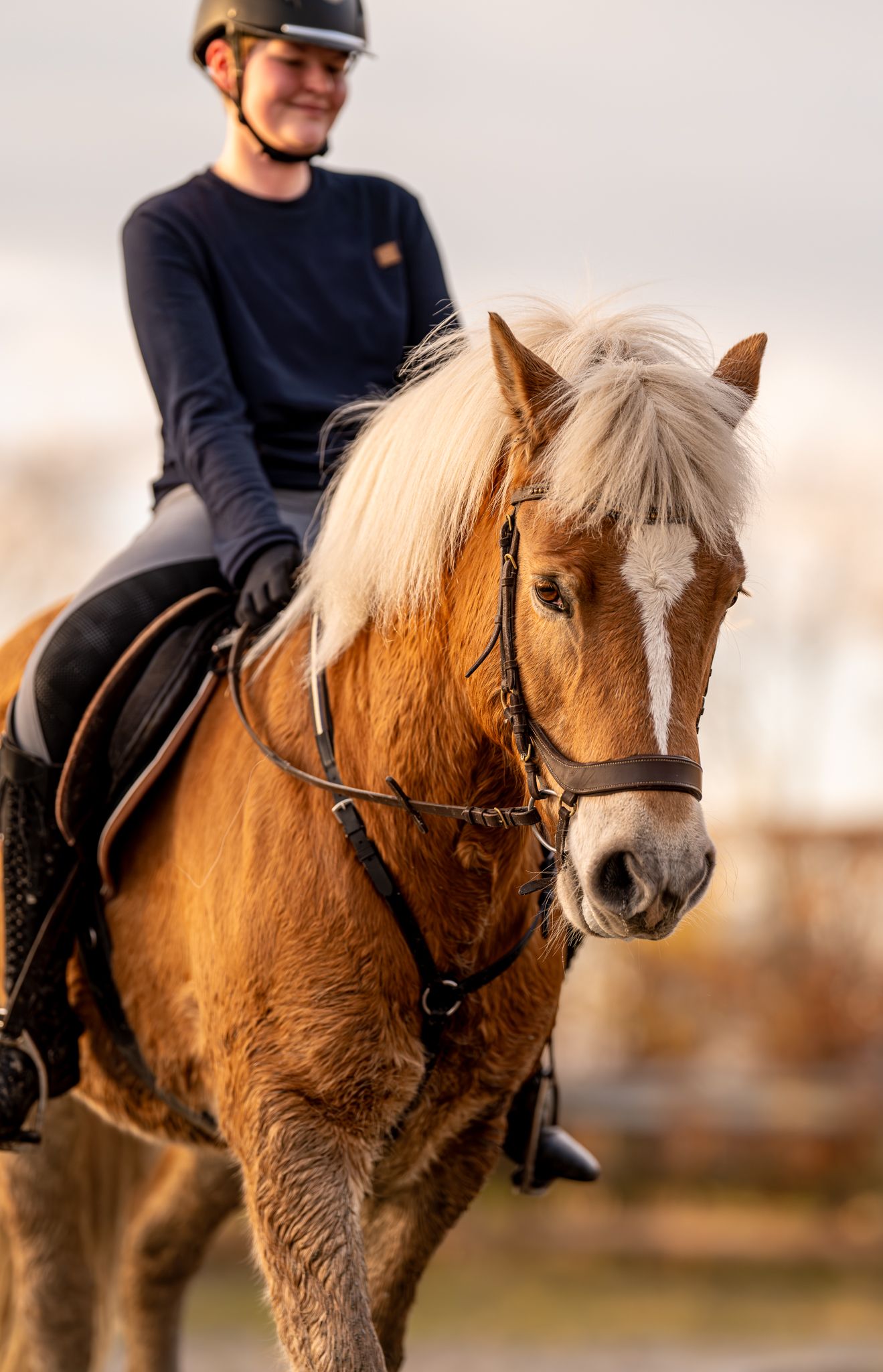 A rider in a helmet sits atop a chestnut Haflinger horse with a blonde mane during an outdoor equestrian session.