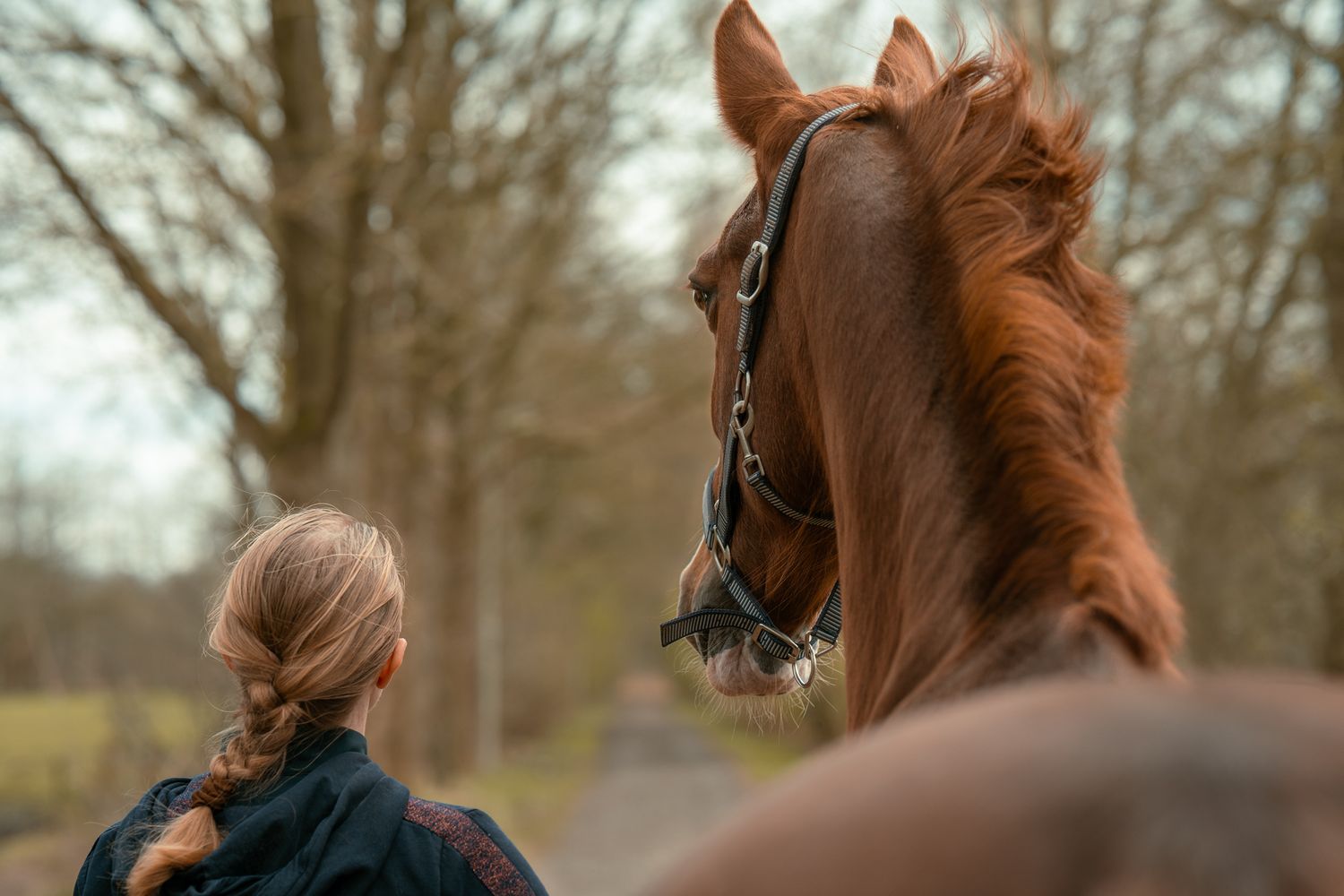 Young woman with braided hair standing before a chestnut horse in a bare winter forest.