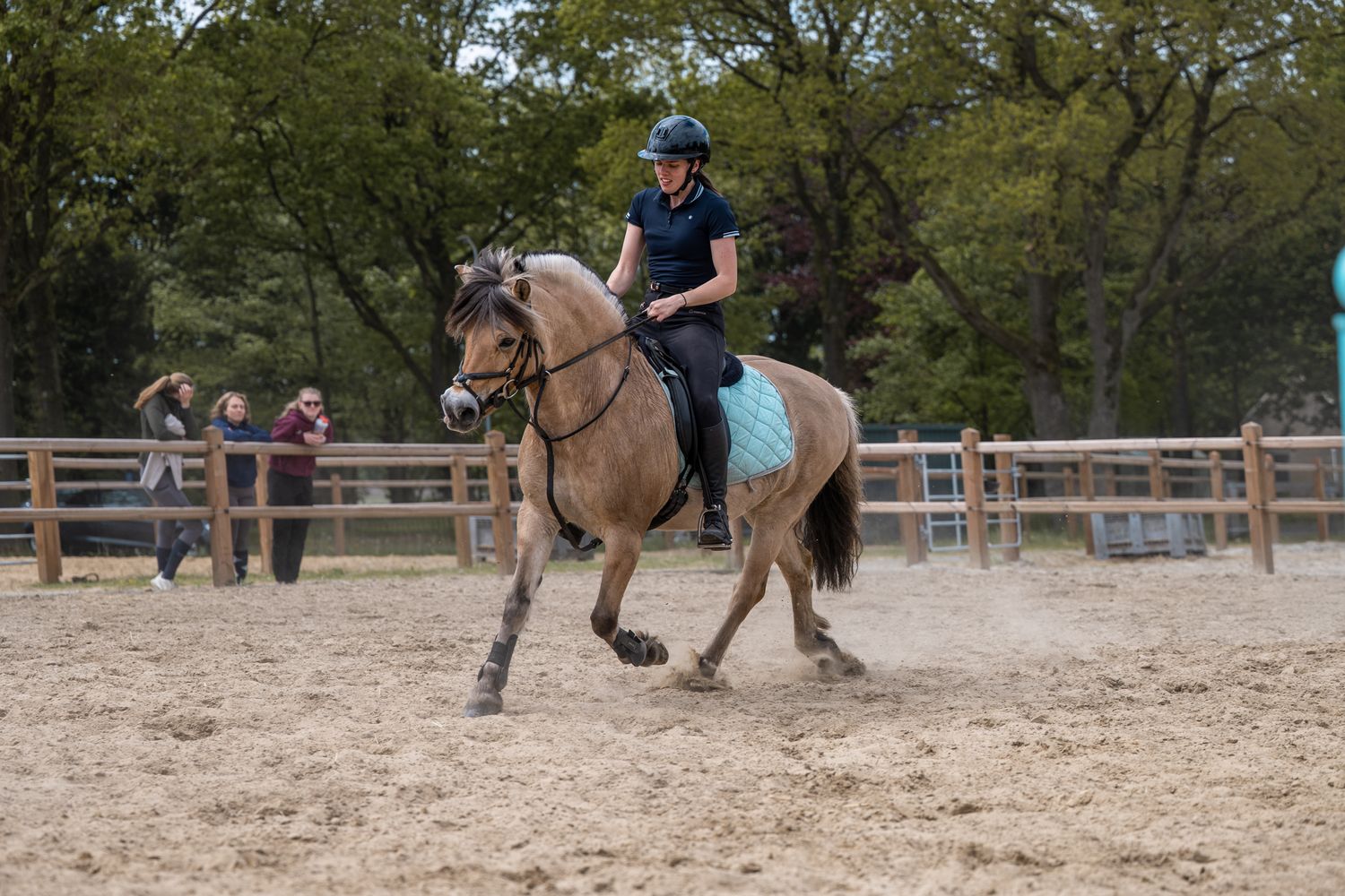 A rider in a navy helmet canters a buckskin horse in a sandy outdoor arena with wooden fencing and spectators.