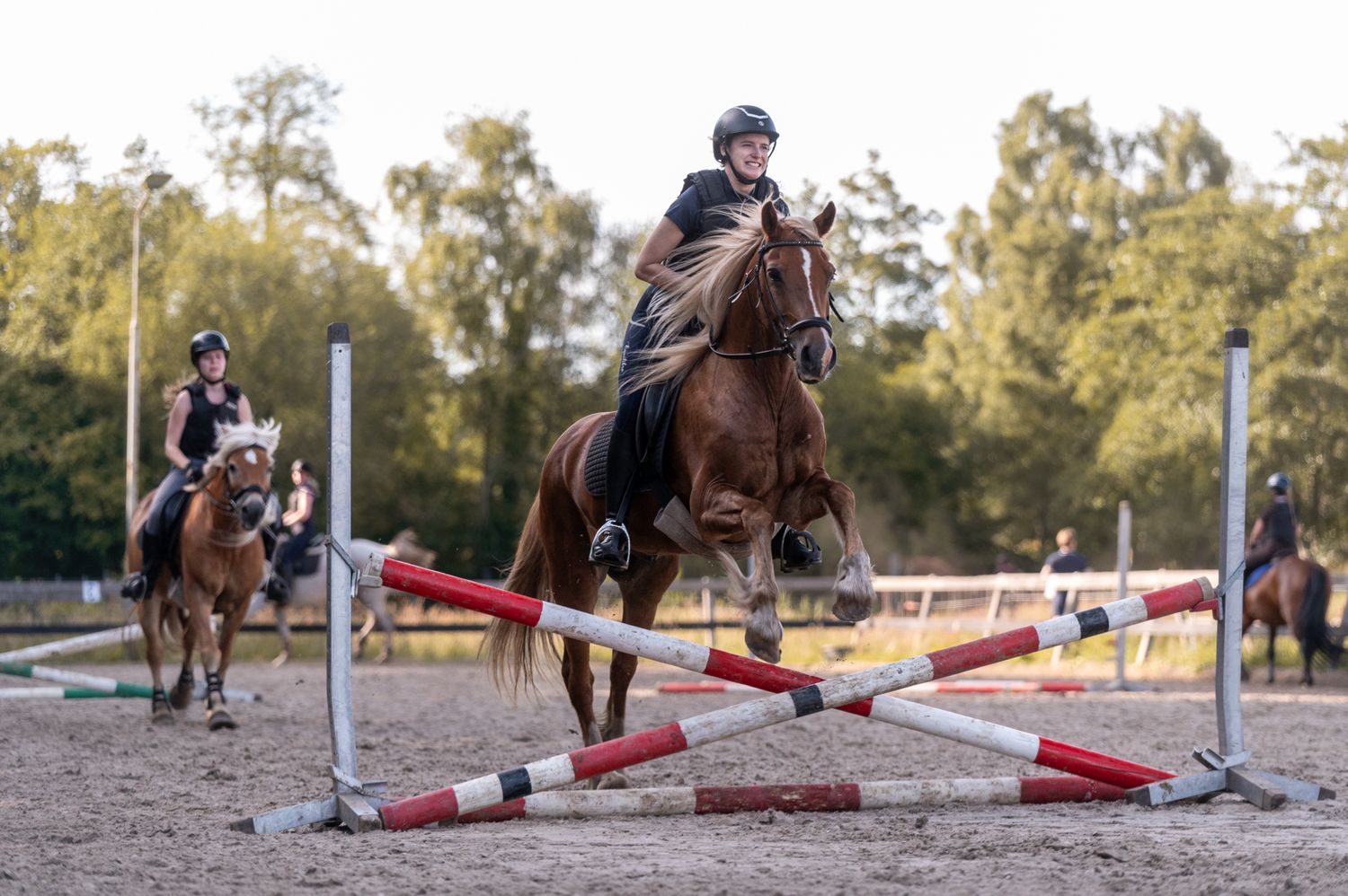 Rider on chestnut horse jumping red and white poles at outdoor equestrian show jumping arena.