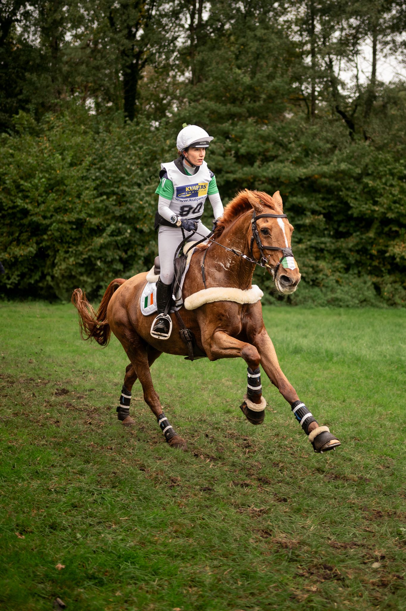Young equestrian rider in white helmet galloping on a chestnut horse wearing protective boots across a green field.
