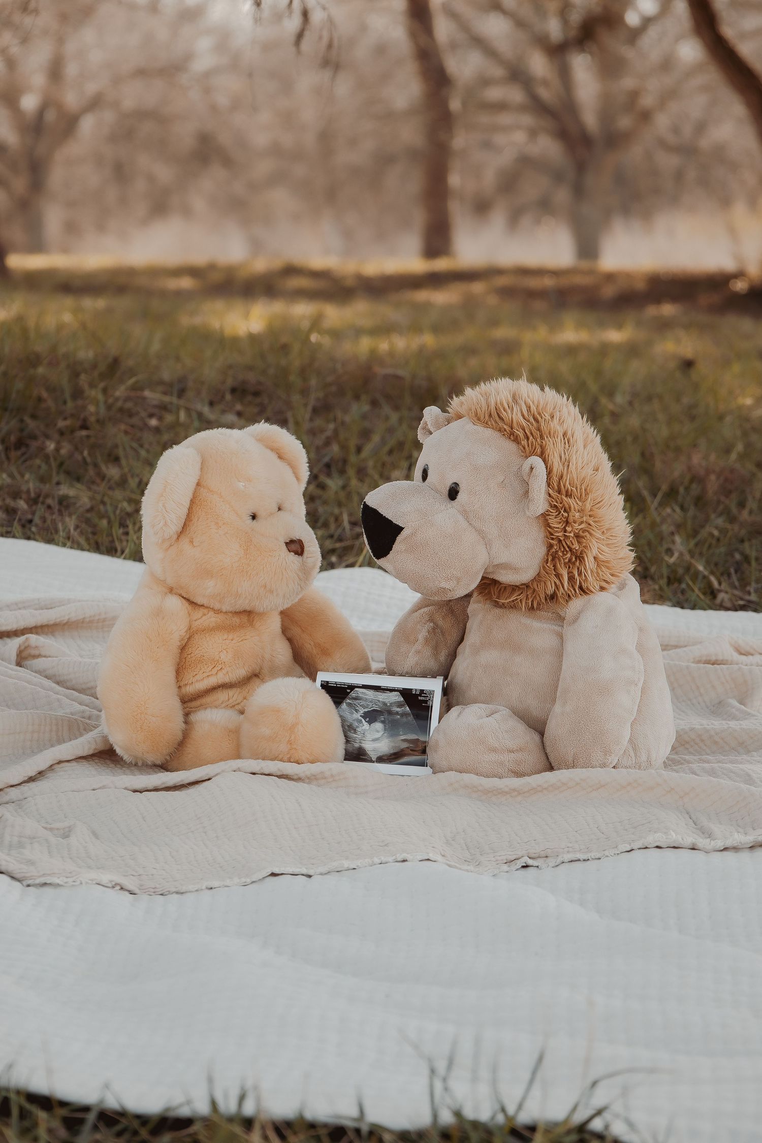 Baby announcement and Flat ley and review