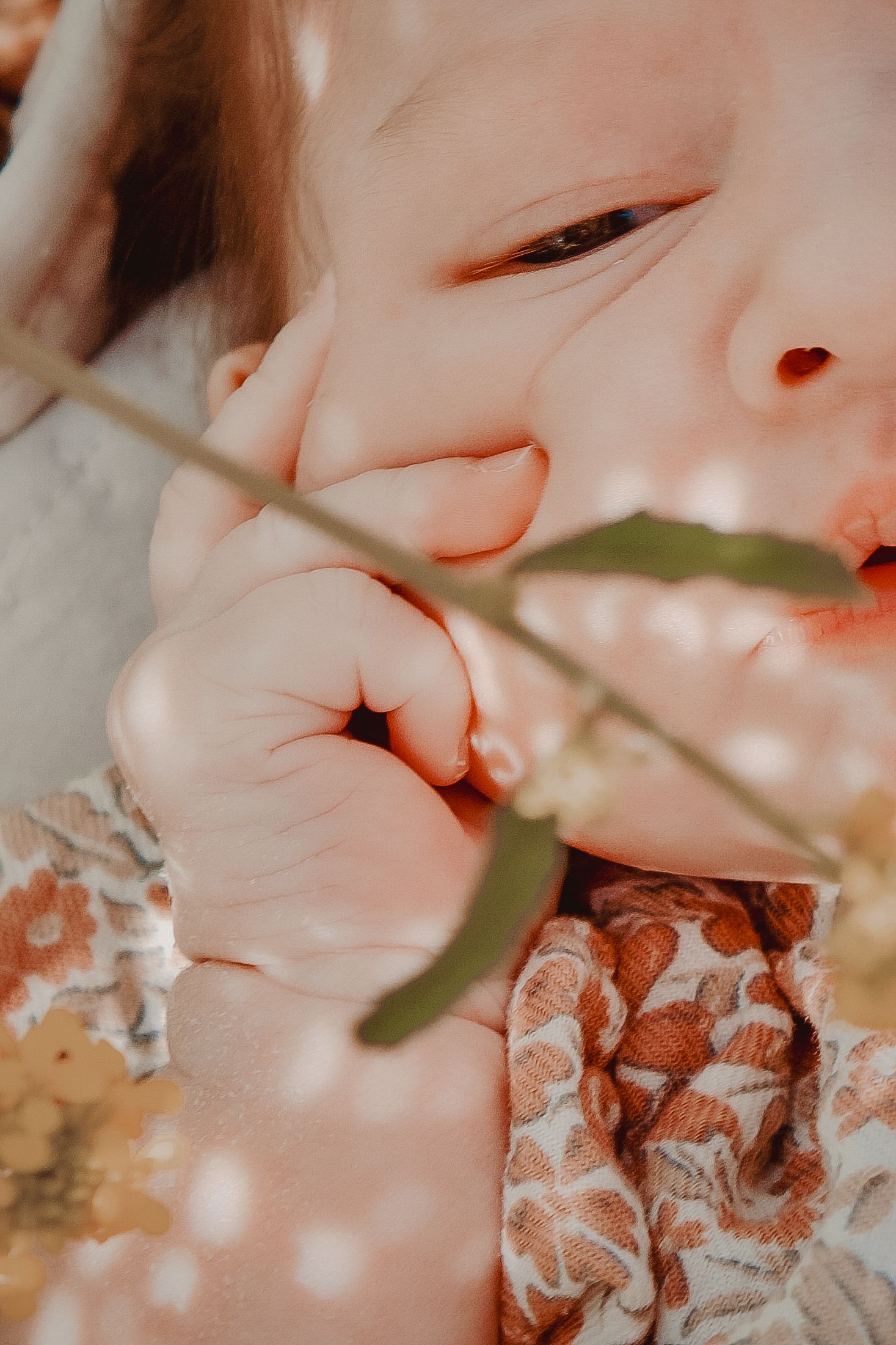 Newborn photo shoot/session