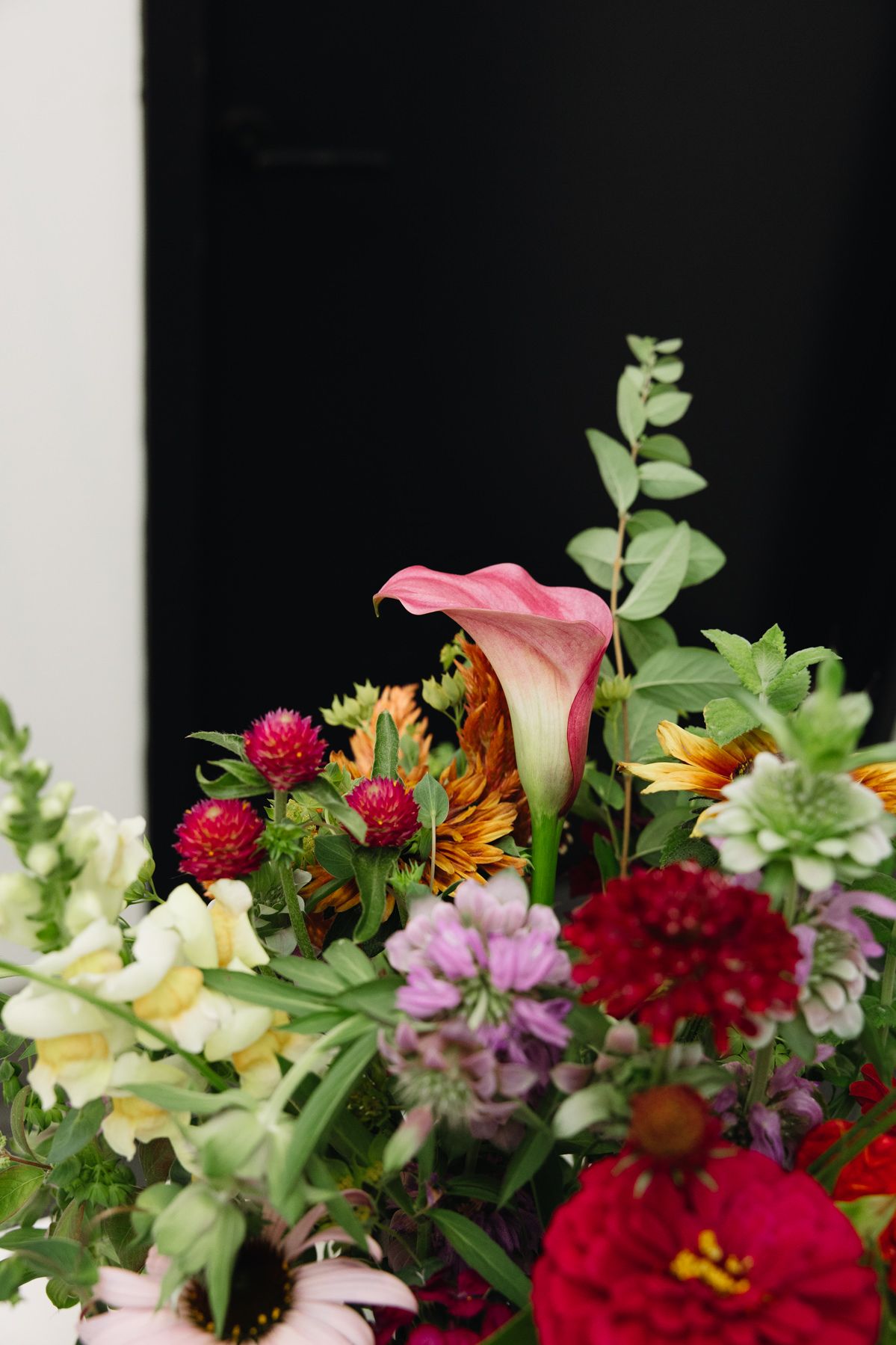 Close-up of a vibrant floral arrangement featuring pink calla lilies, red dahlias, and yellow blooms against a white background.