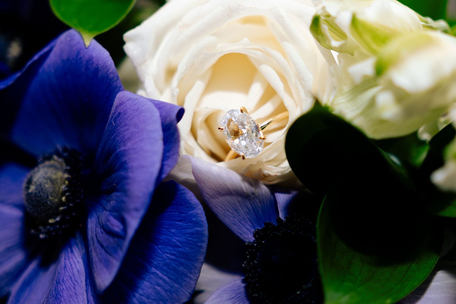 Diamond engagement ring nestled in a white rose surrounded by deep blue anemone flowers in a bridal bouquet.