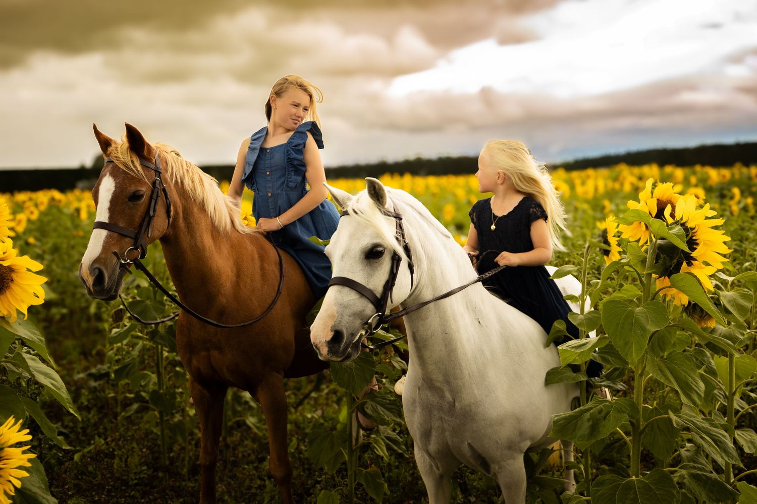 Two girls riding brown and white horses through a vibrant sunflower field under cloudy skies.