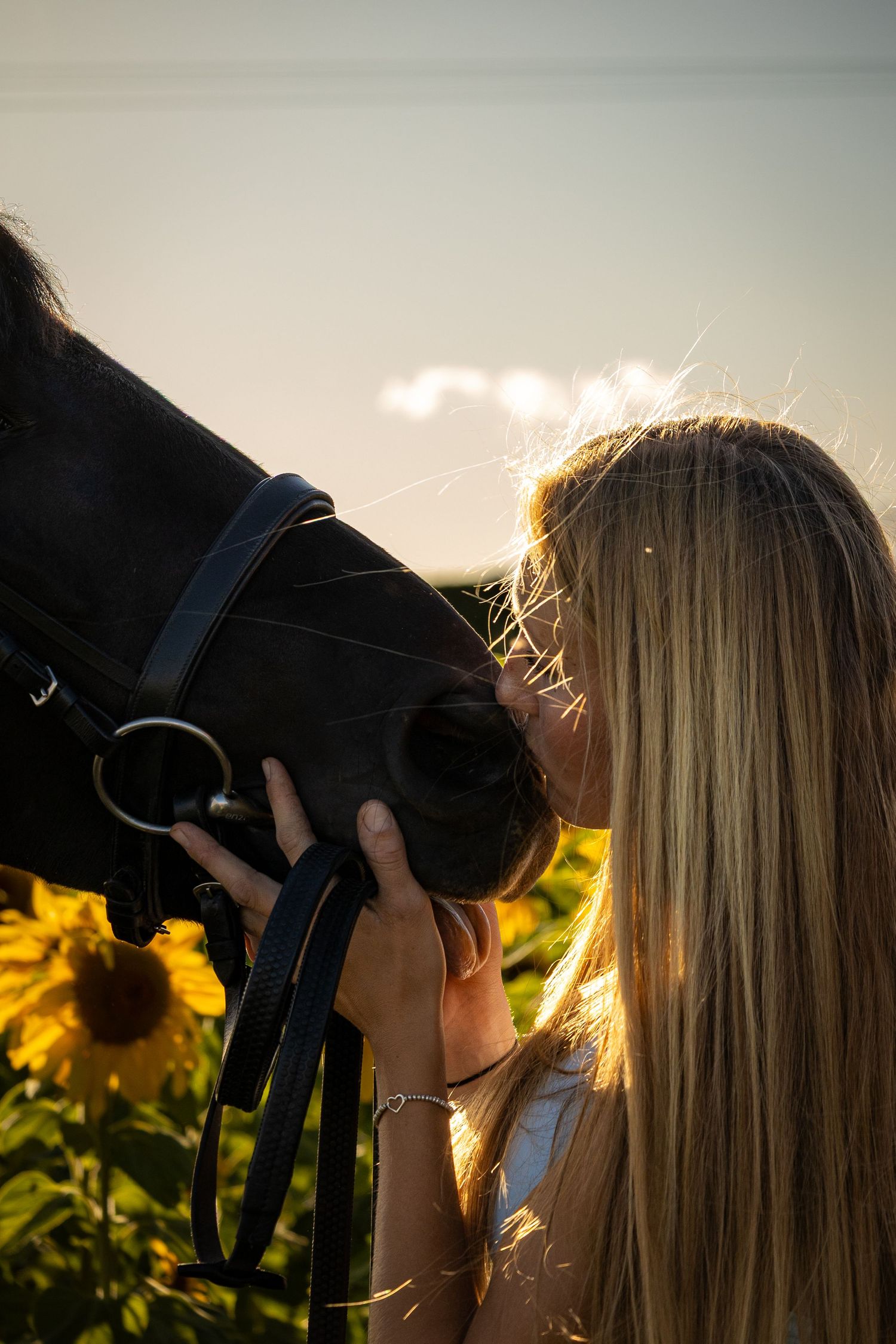 A blonde woman kisses a dark horse in a sunflower field at golden hour sunset.