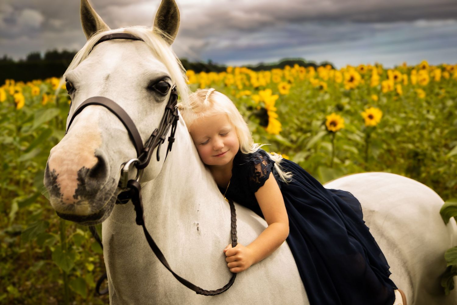 A young girl in a navy dress hugs a white horse in a sunflower field.