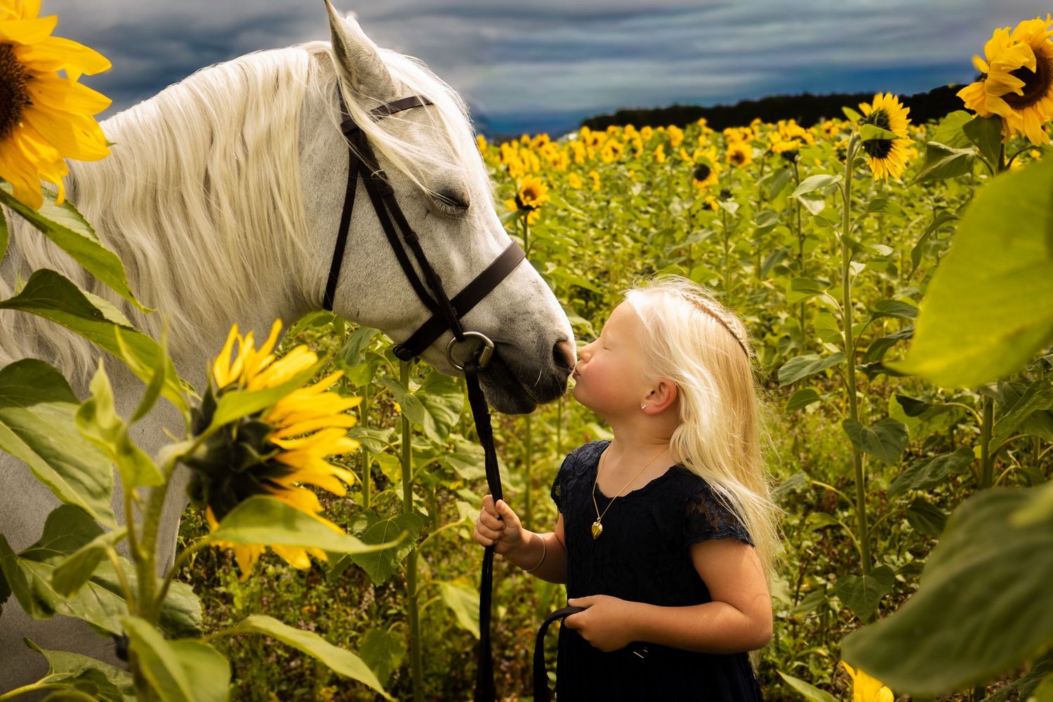 A young blonde girl kisses a white horse in a vibrant sunflower field under a dramatic cloudy sky.