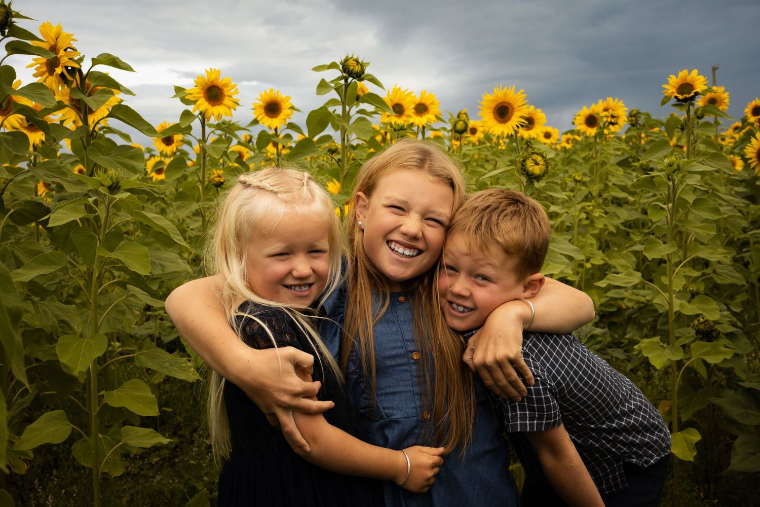 Three happy children hugging in a sunflower field under dramatic cloudy skies.