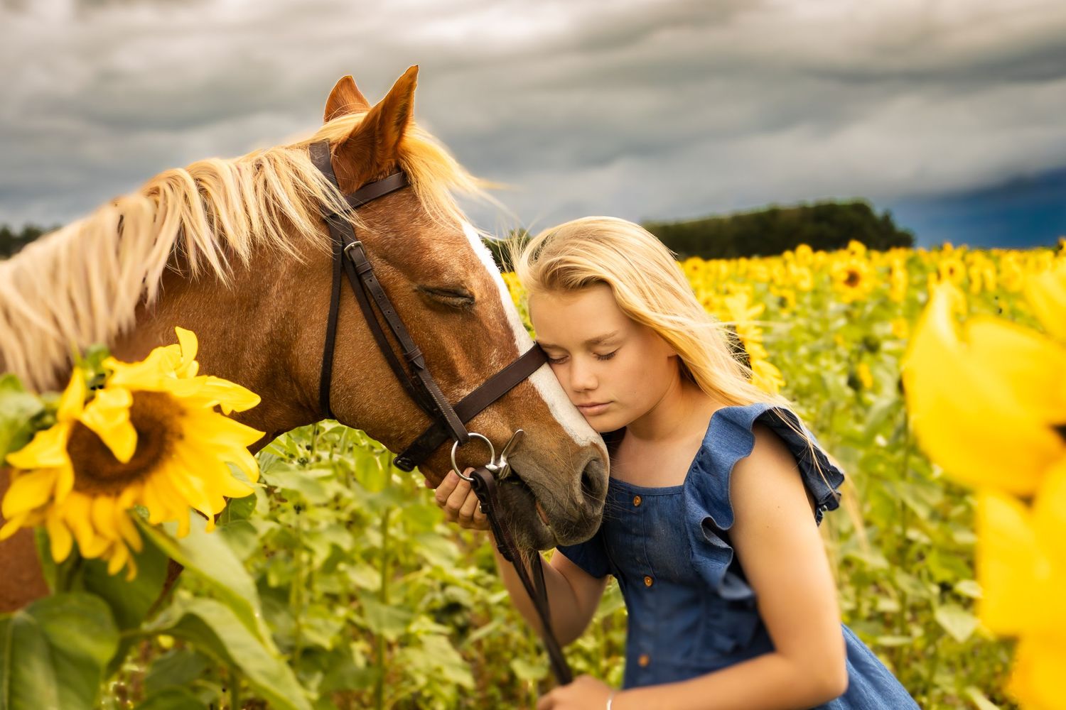 Blonde girl in blue dress tenderly embracing a brown horse in a vibrant sunflower field under cloudy skies.