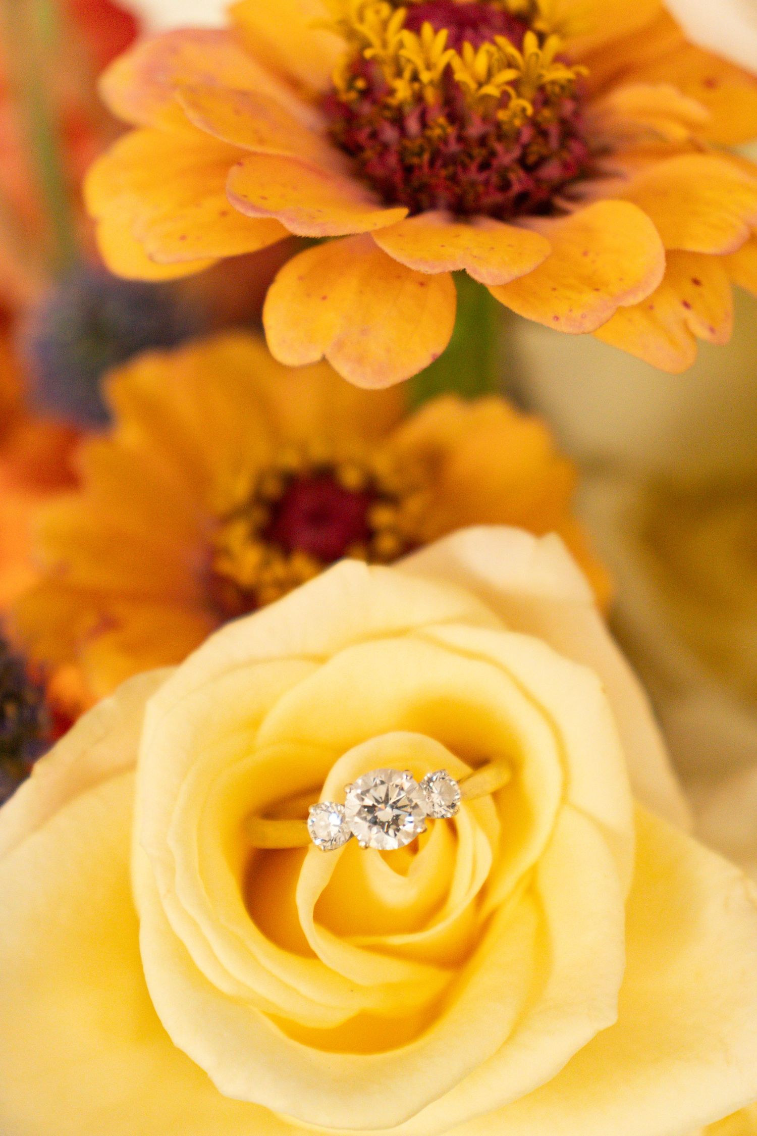Close-up of diamond engagement ring nestled in yellow and cream roses.