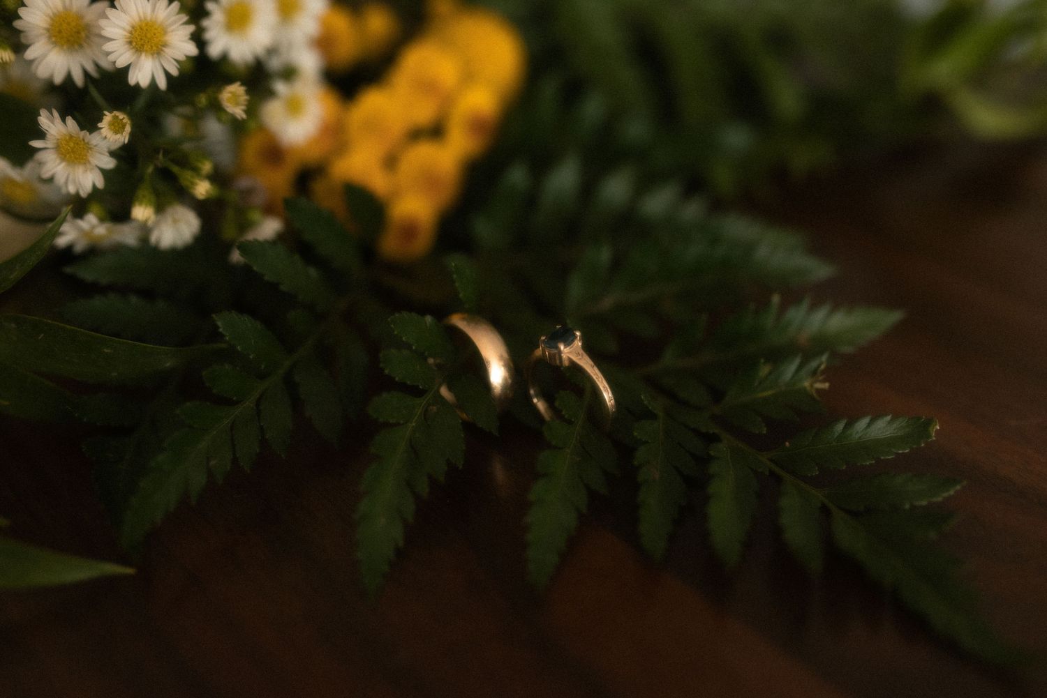 detail shot of wedding rings on a fern