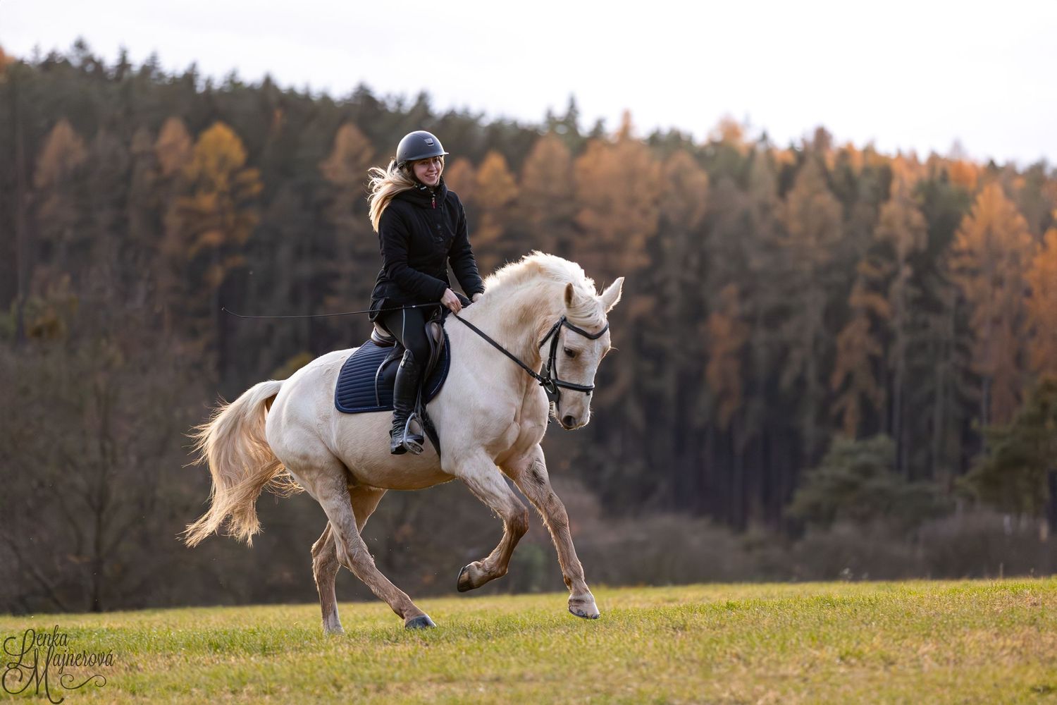 A white horse leaping gracefully across a grassy field with autumn trees in the background.