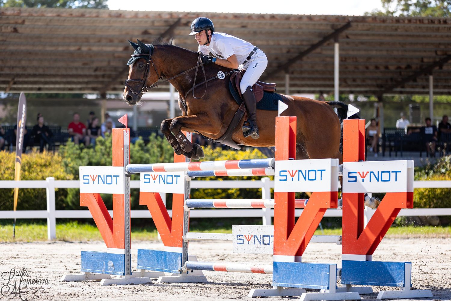 A horse and rider navigate through a challenging show jumping course with red and white poles and obstacles.