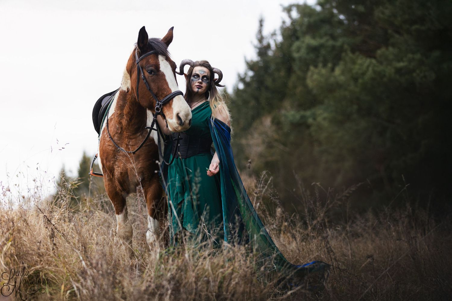 Brown horse and companion in medieval-style dress standing in tall autumn grass.