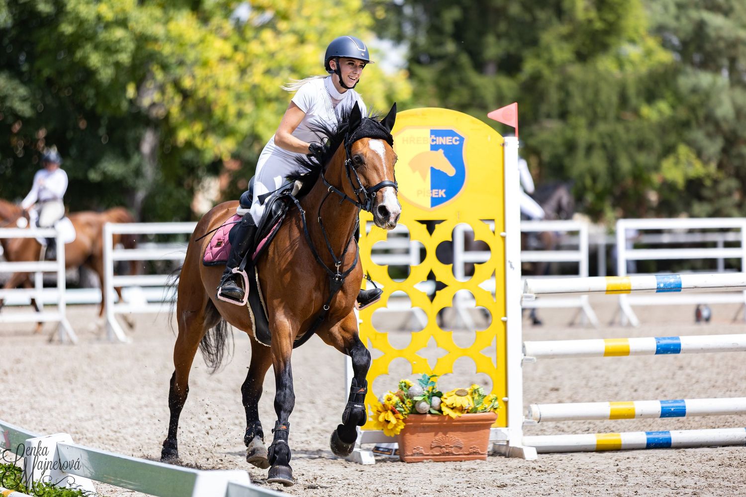 Horse and rider navigate through a show jumping course with yellow and white obstacles in an outdoor arena.