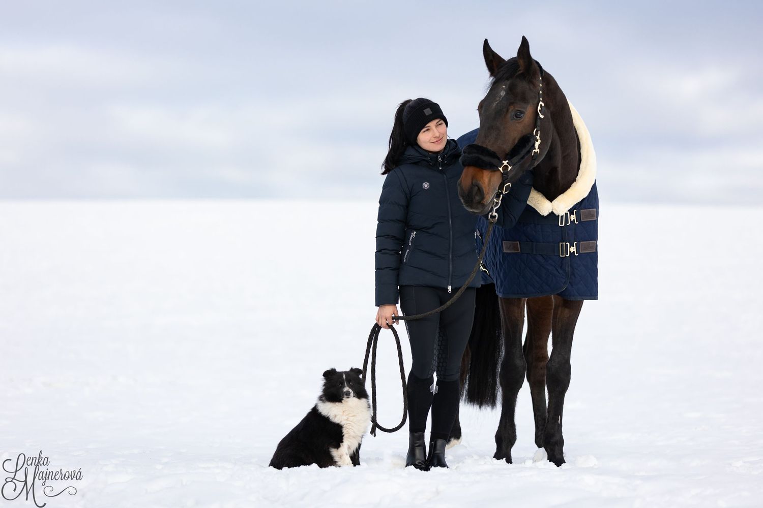 A horse wearing a winter blanket and small dog stand together in a snowy landscape.