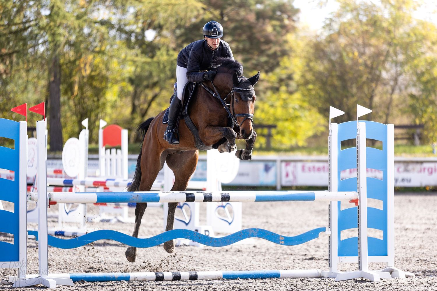 Equestrian show jumping sequence showing horse and rider clearing blue and white obstacles at competition event.